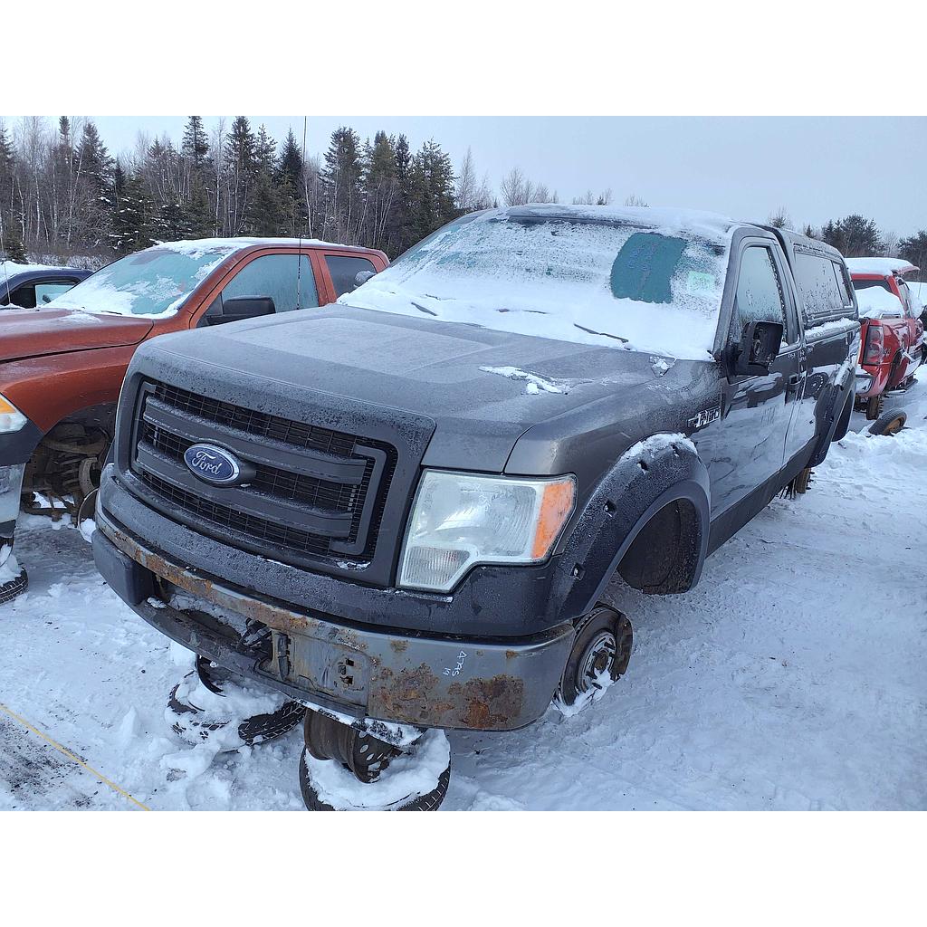 FORD F-150 2014