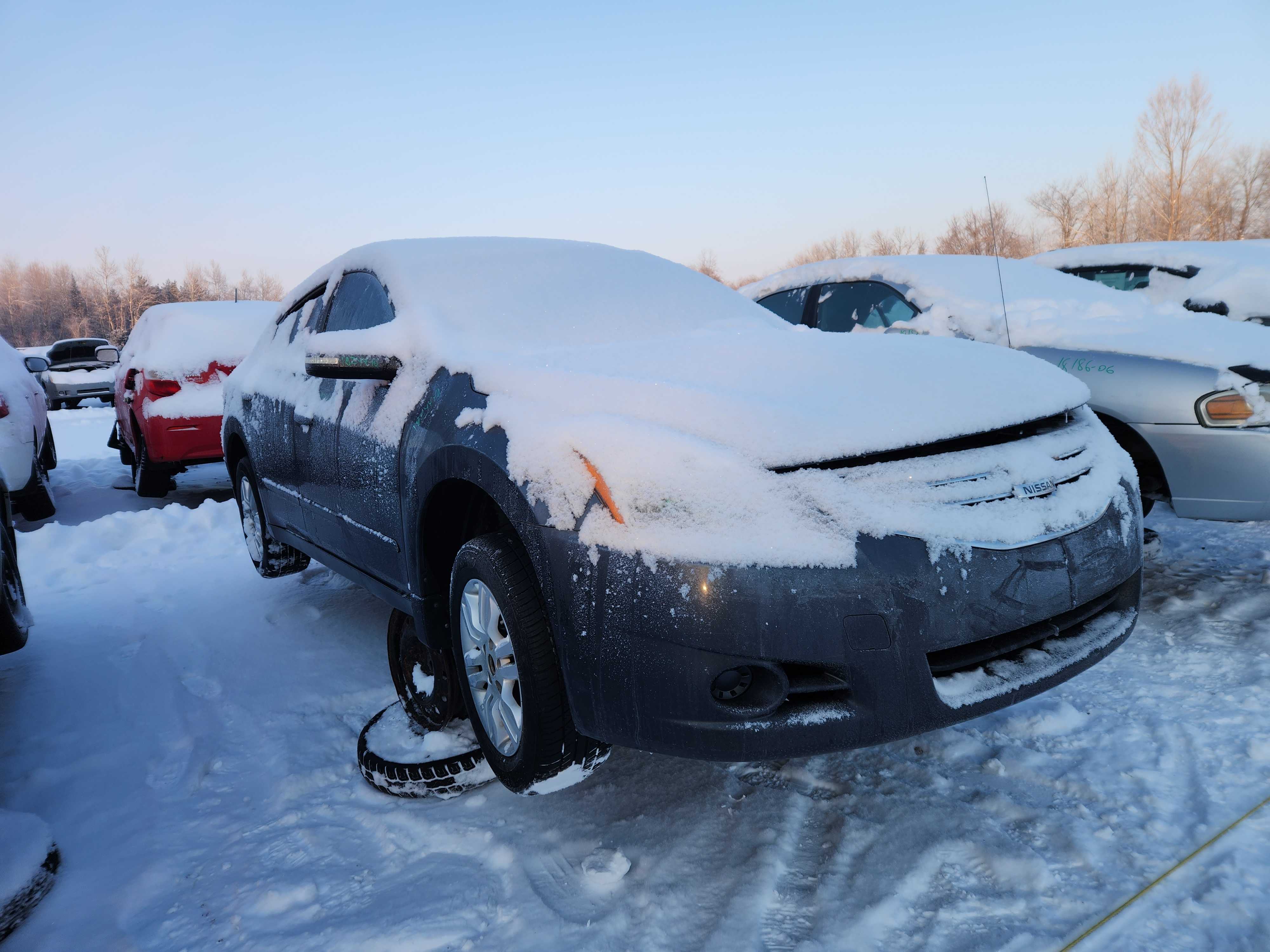 NISSAN ALTIMA 2010