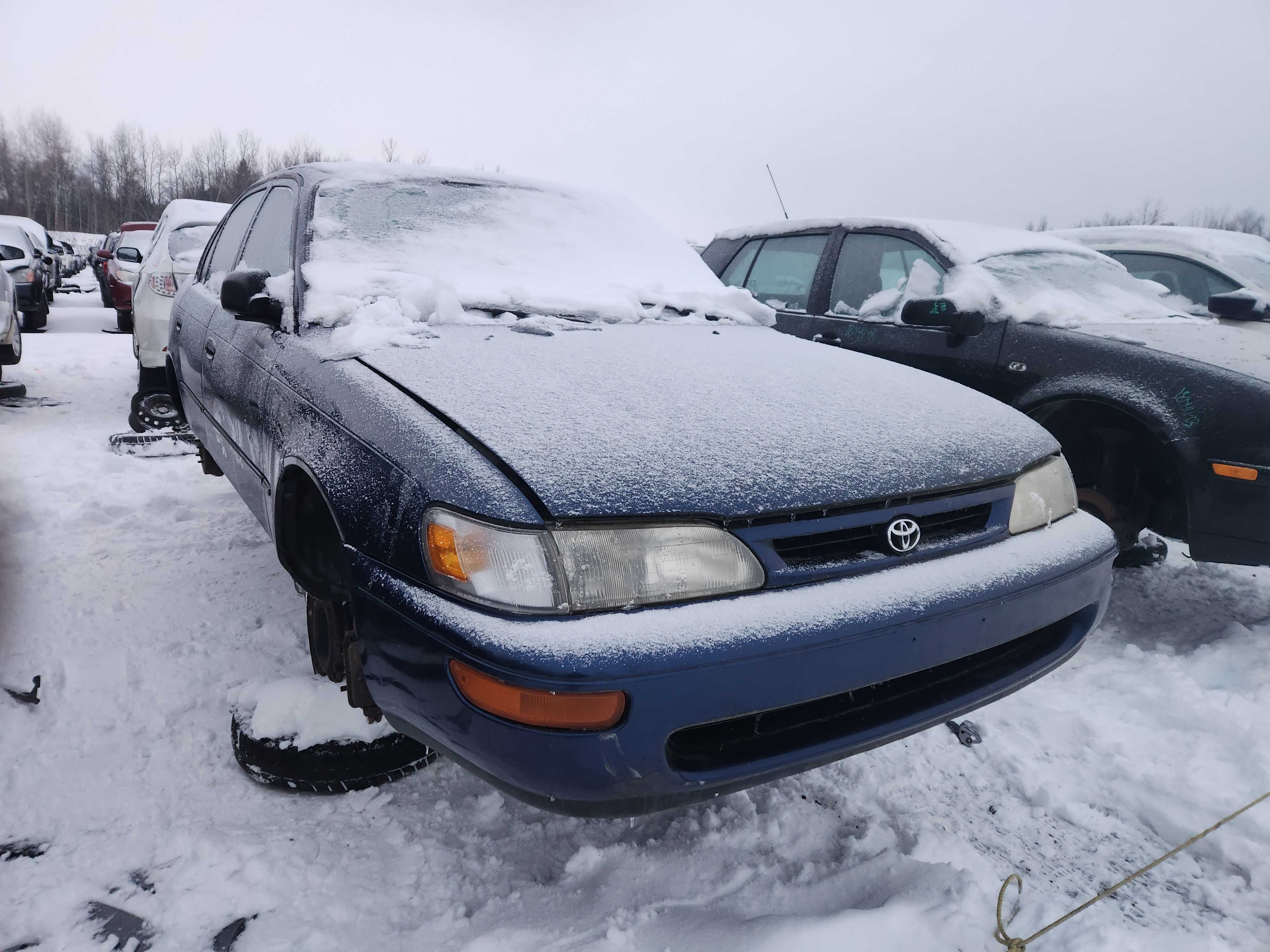 TOYOTA COROLLA 1996