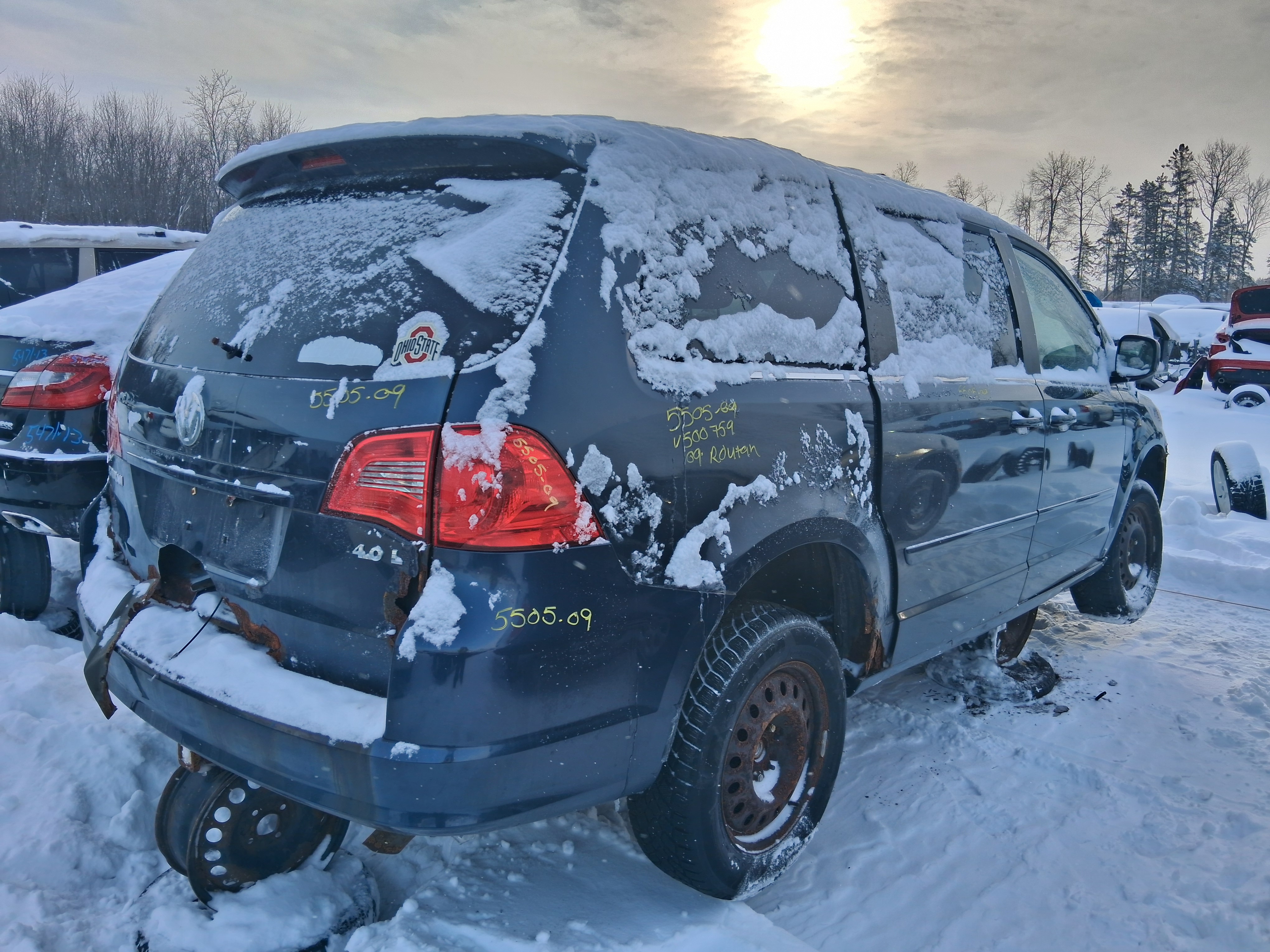 VOLKSWAGEN ROUTAN 2009