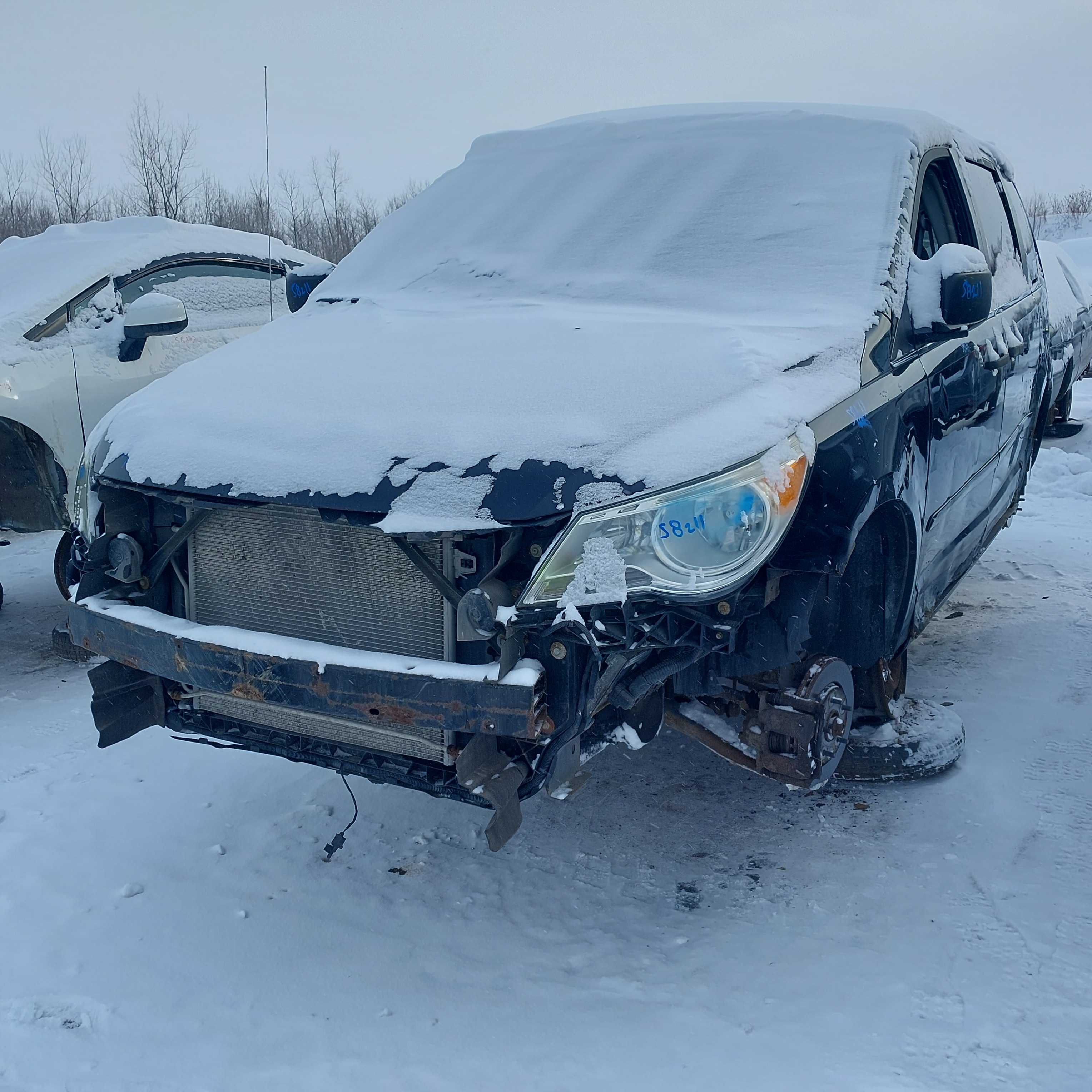 VOLKSWAGEN ROUTAN 2010