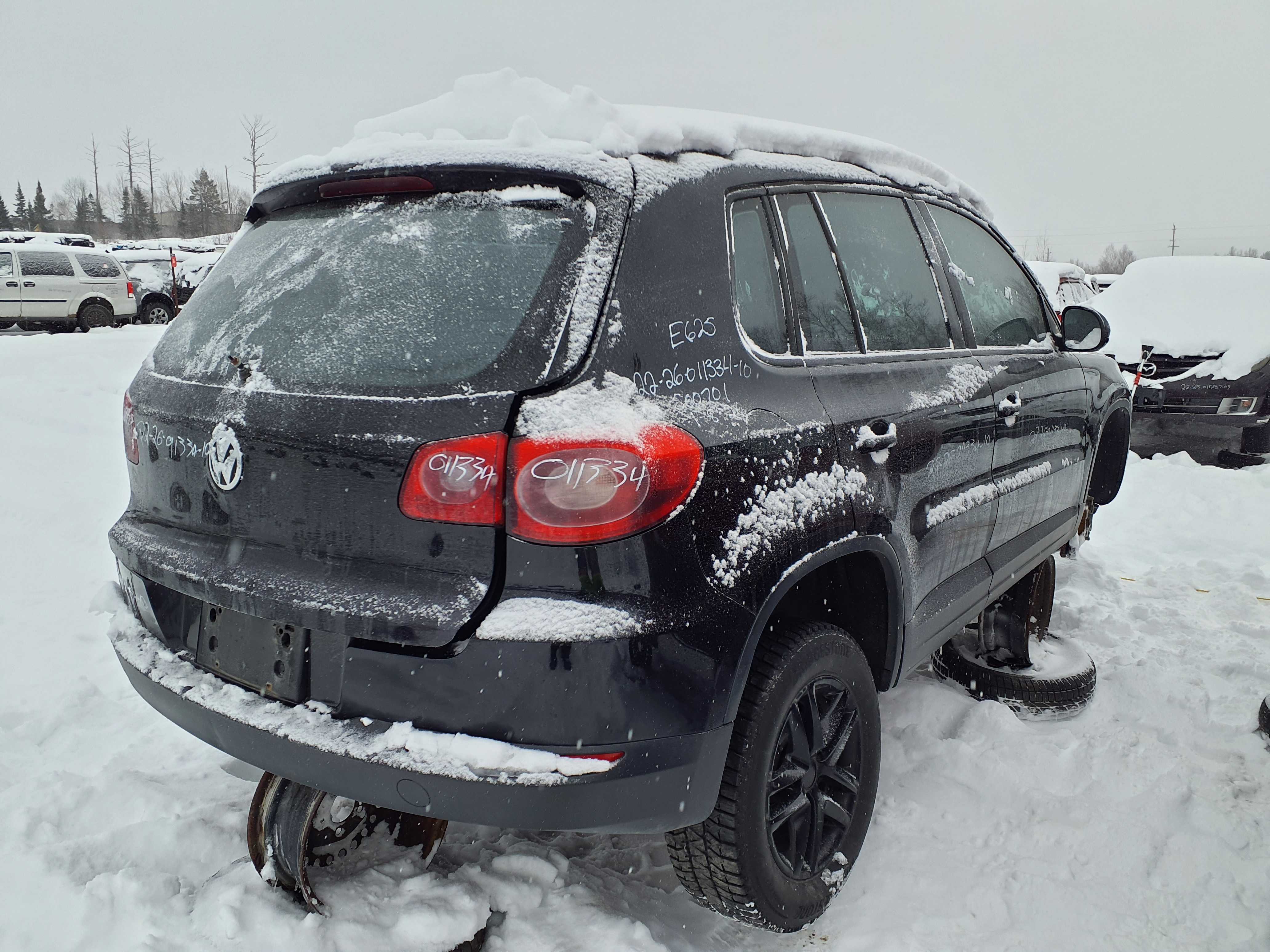 VOLKSWAGEN TIGUAN 2010