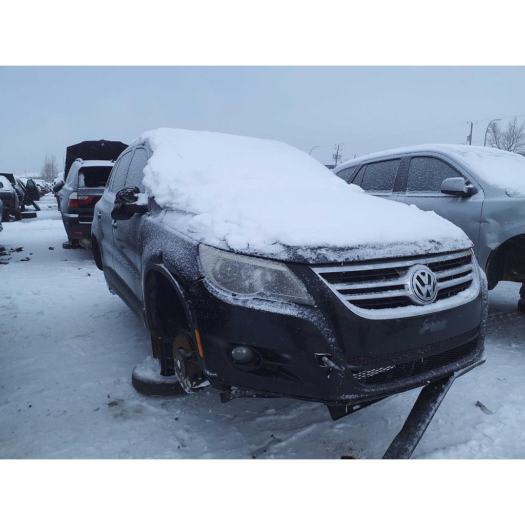 VOLKSWAGEN TIGUAN 2010