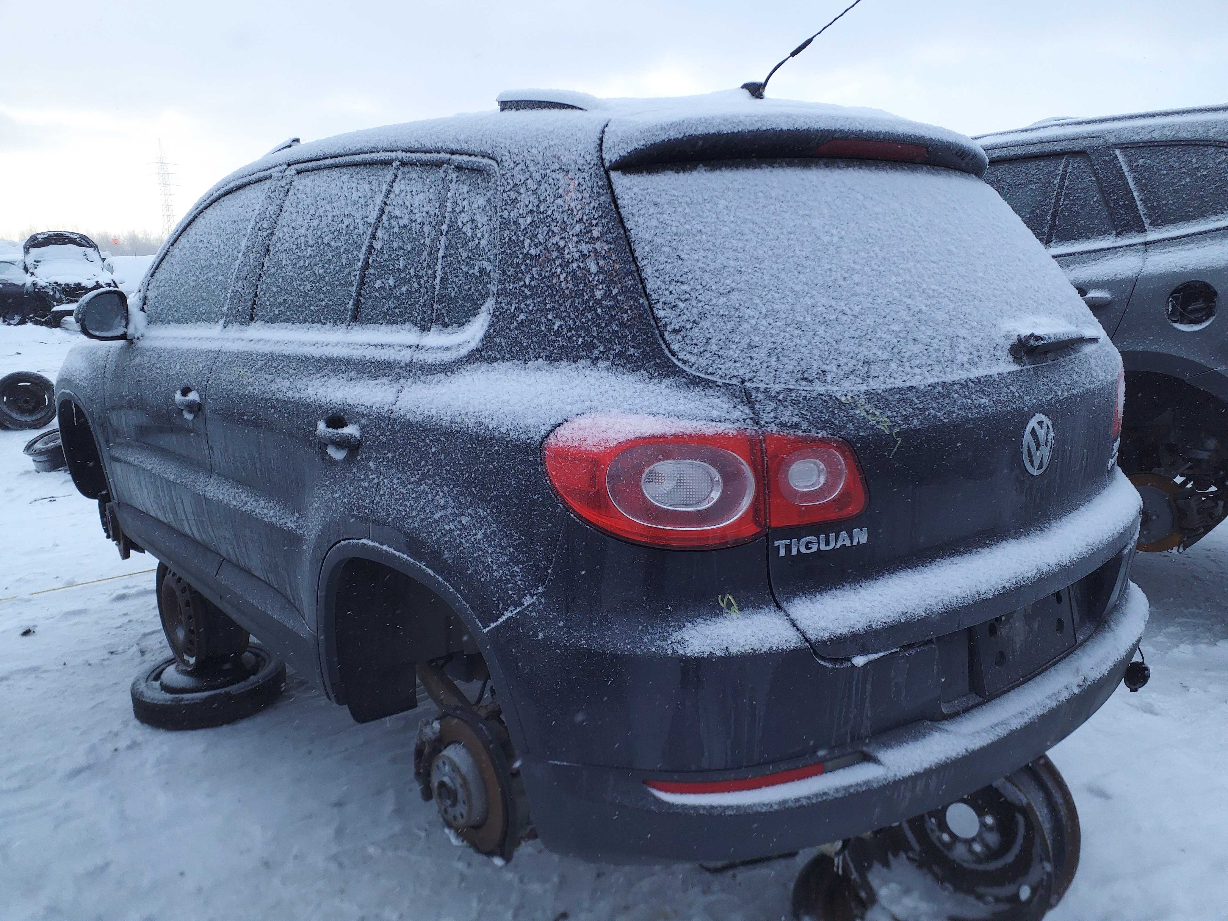 VOLKSWAGEN TIGUAN 2010