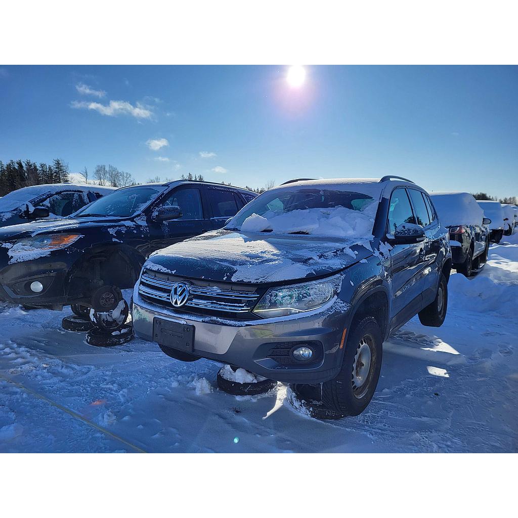 VOLKSWAGEN TIGUAN 2014