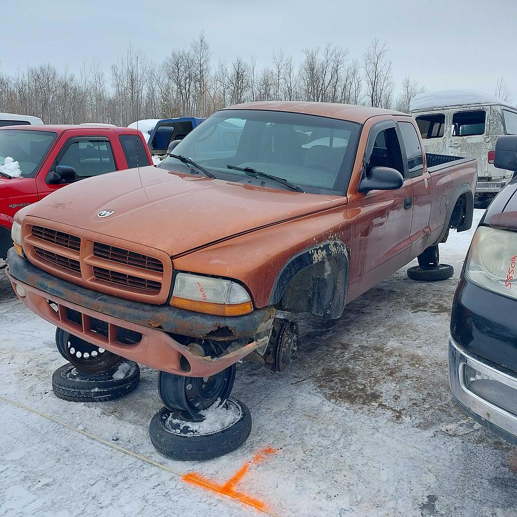 DODGE DAKOTA 2000