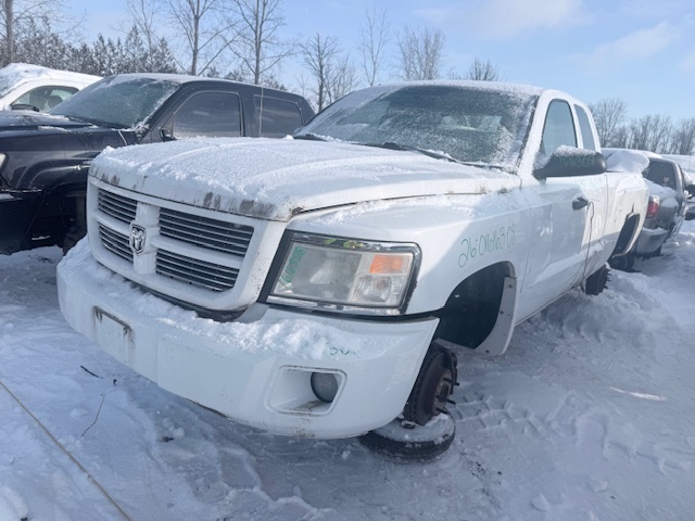 DODGE DAKOTA 2008