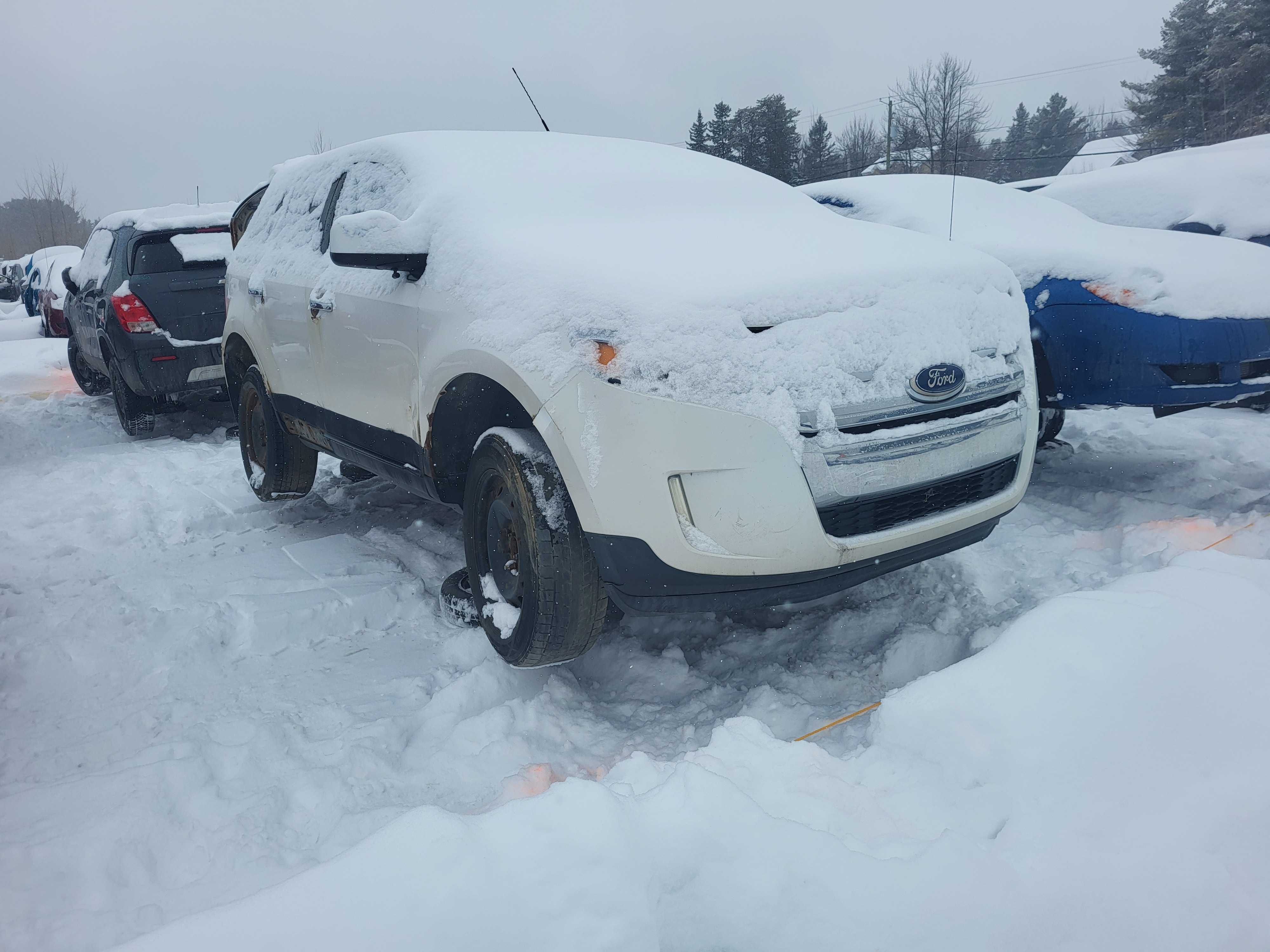 FORD EDGE 2011