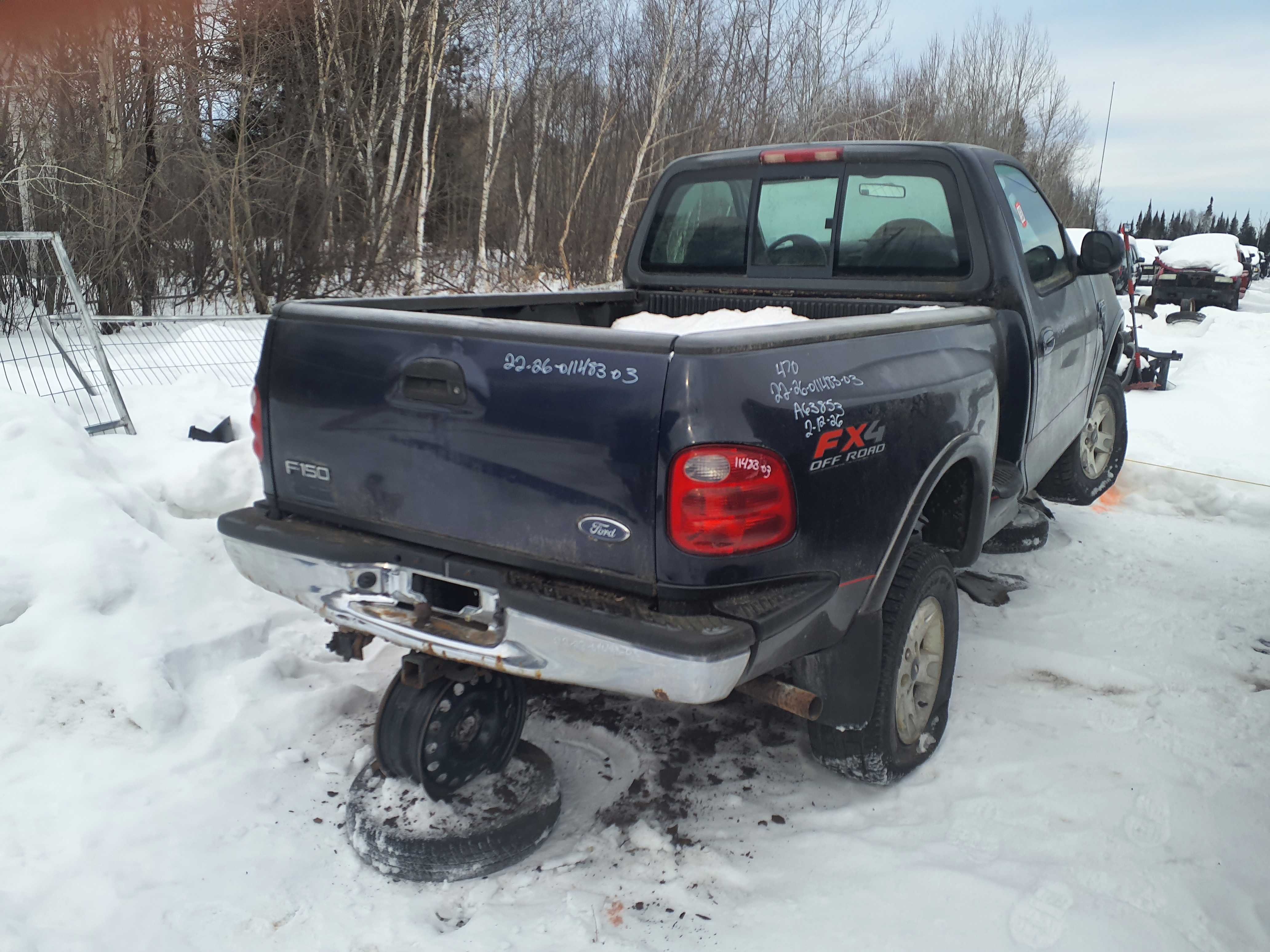 FORD F-150 2003