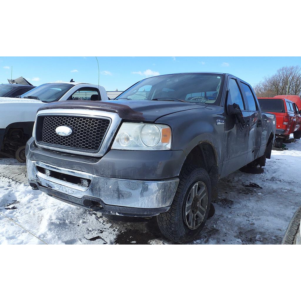 FORD F-150 2007