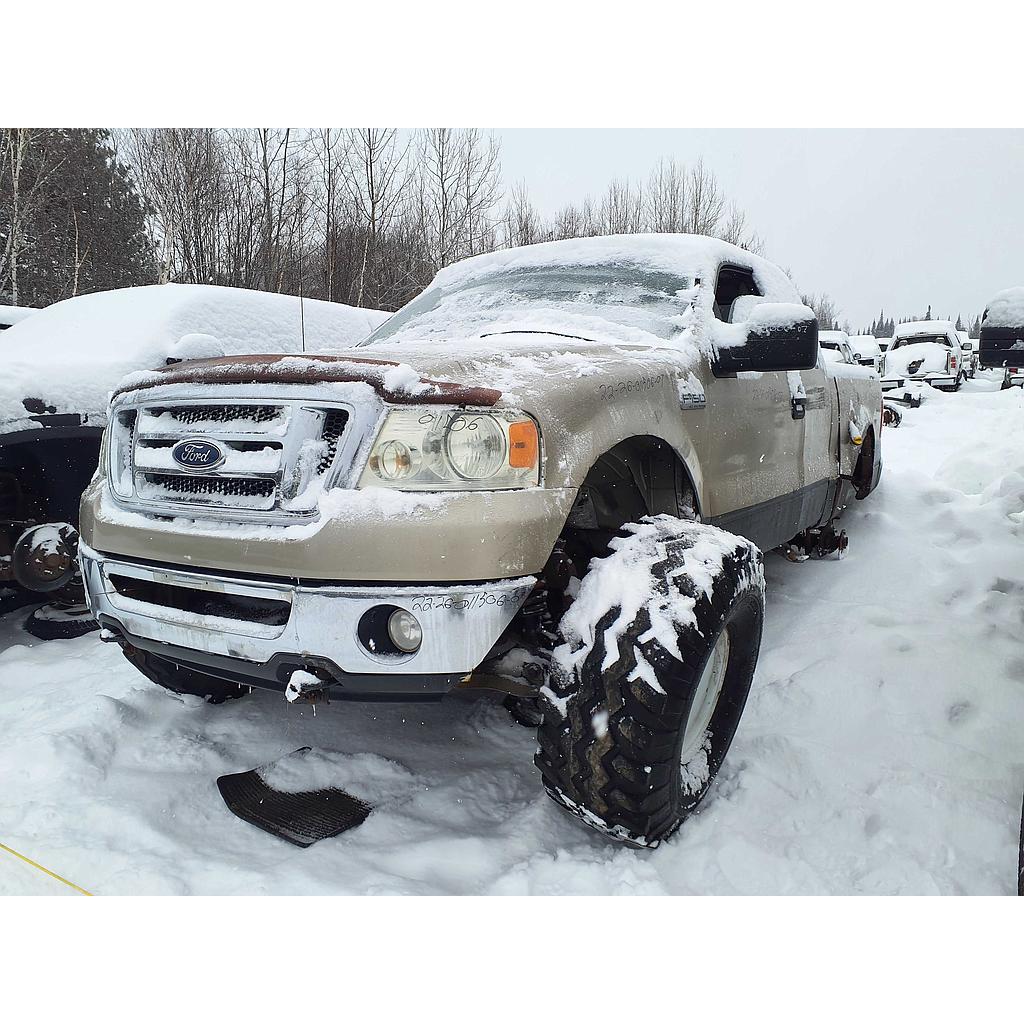 FORD F-150 2007