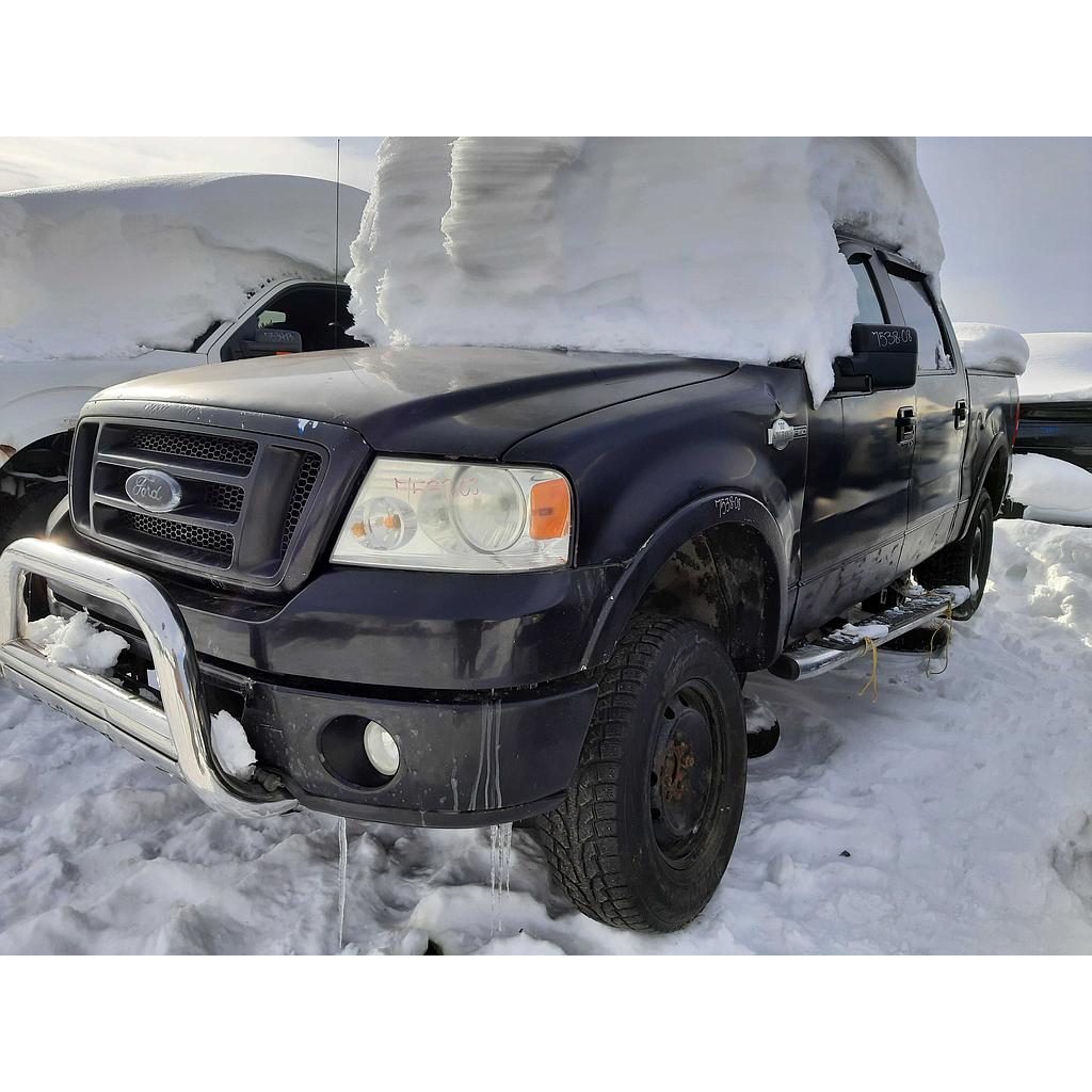 FORD F-150 2008