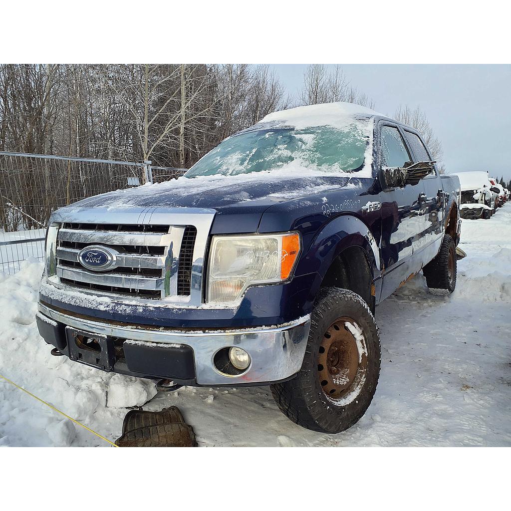 FORD F-150 2009