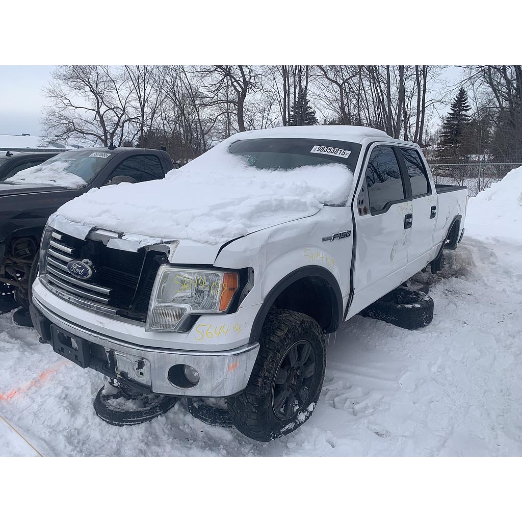 FORD F-150 2009