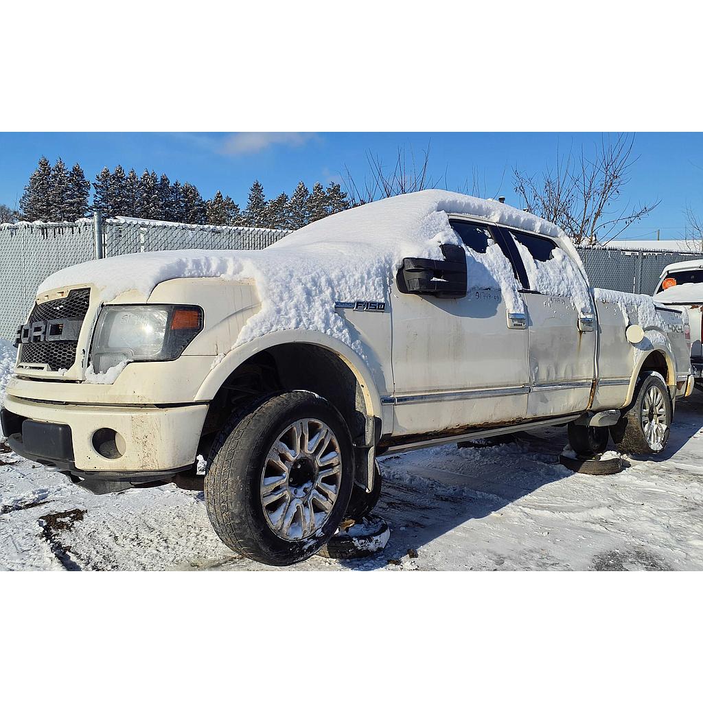 FORD F-150 2009