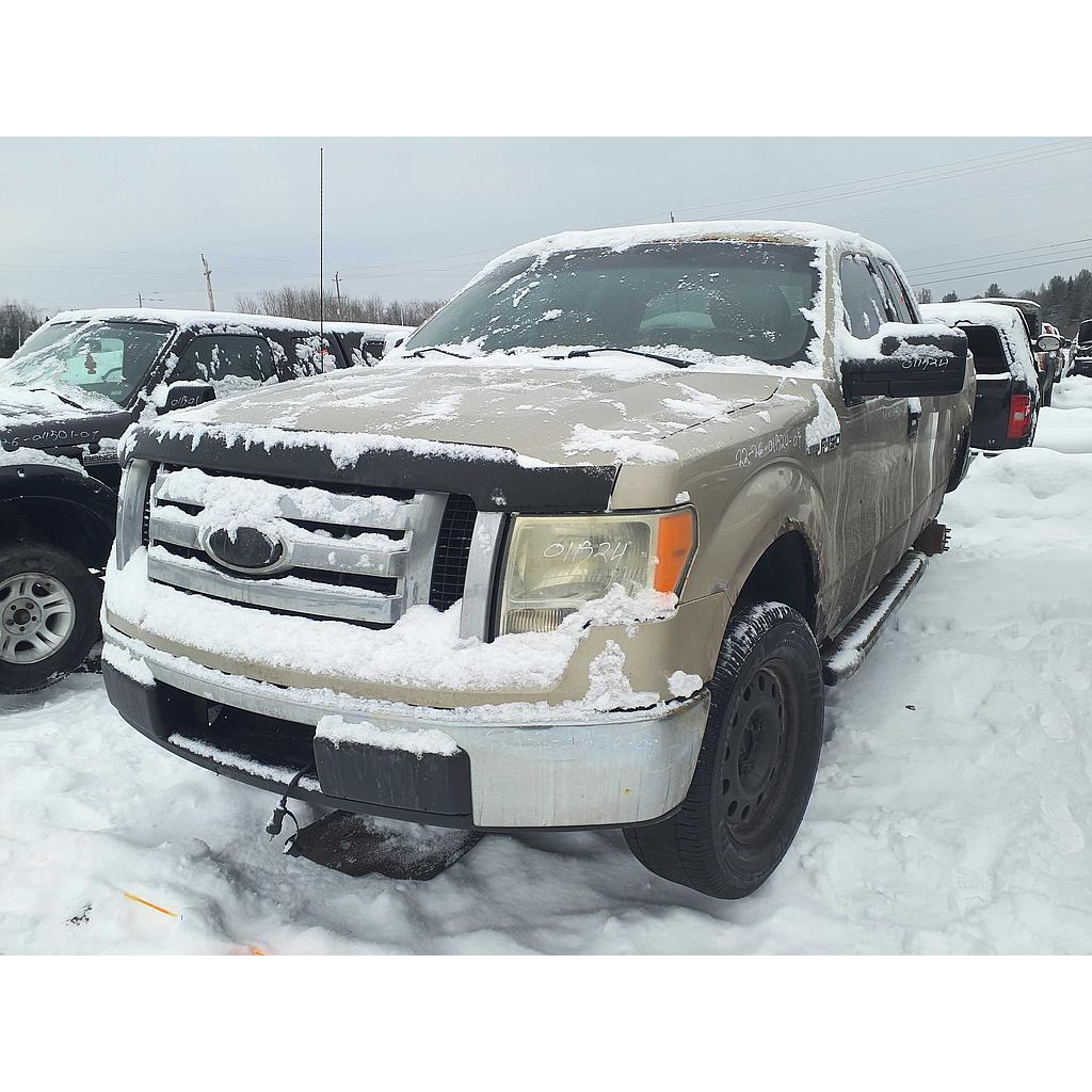FORD F-150 2009