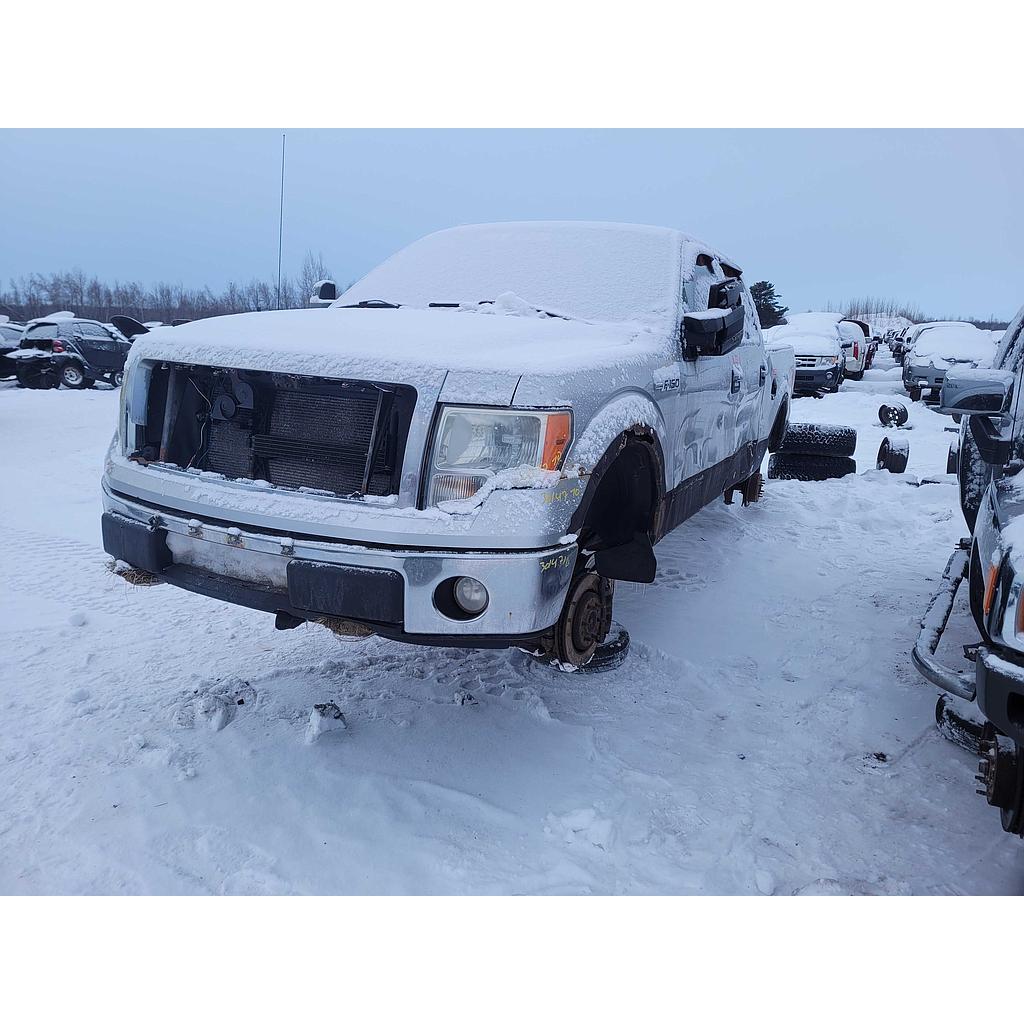 FORD F-150 2010