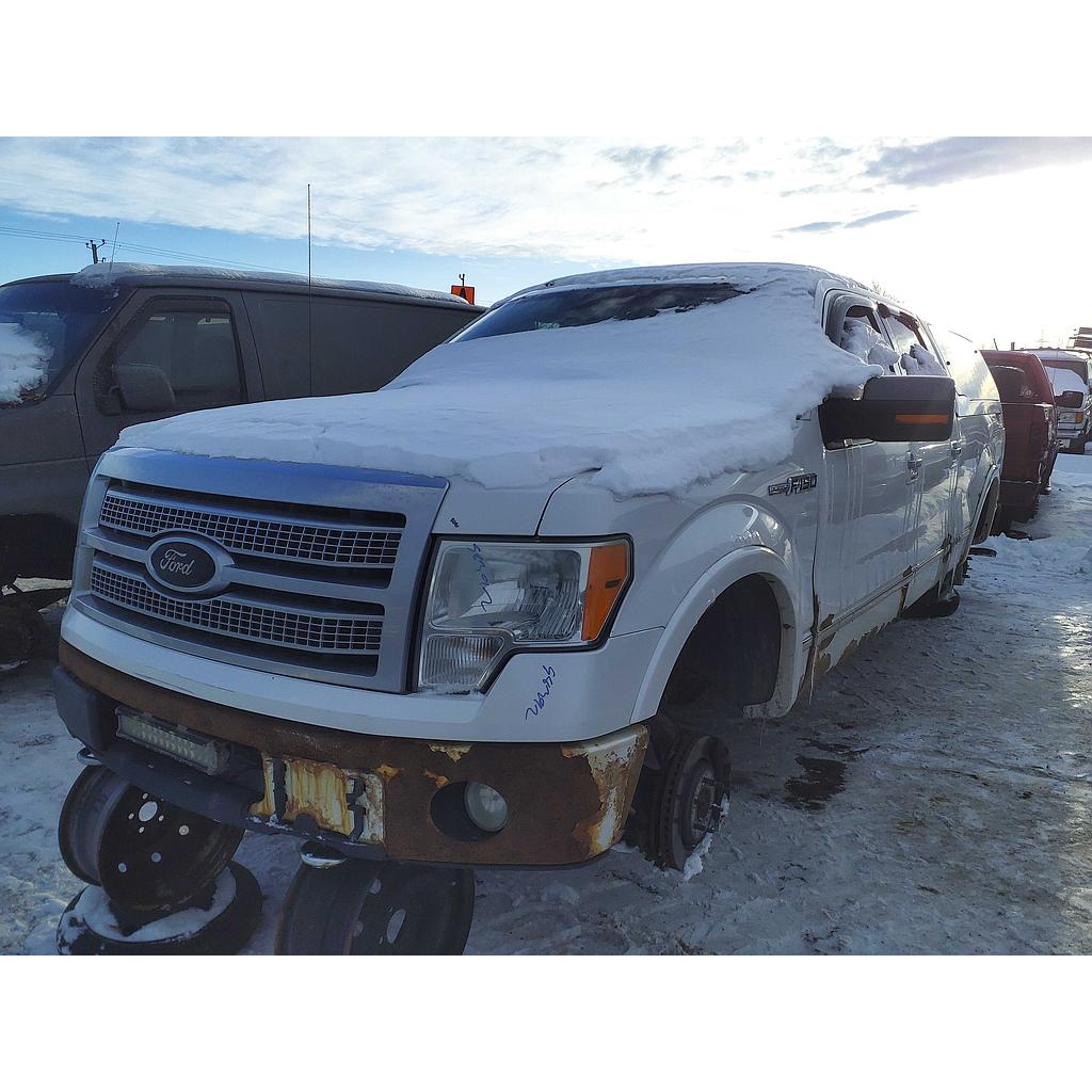 FORD F-150 2010