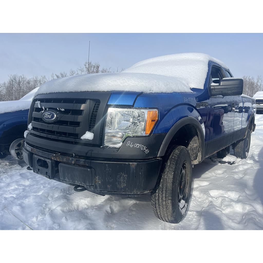 FORD F-150 2010