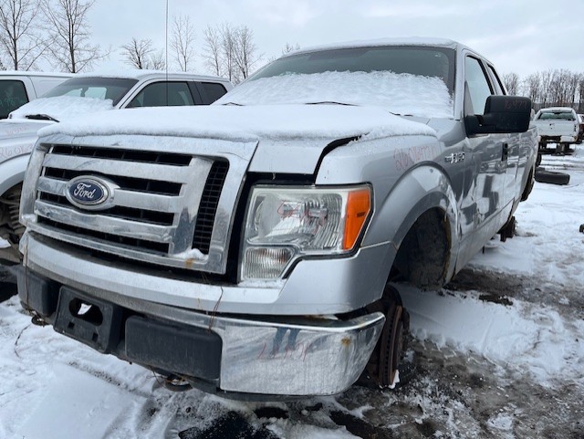 FORD F-150 2010