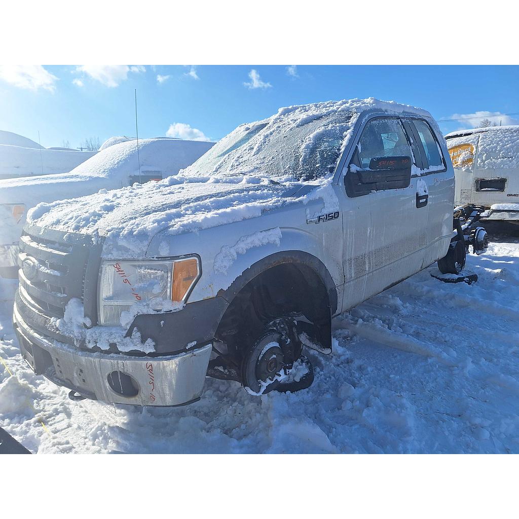 FORD F-150 2010