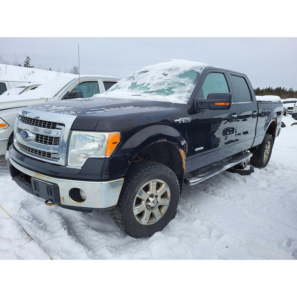 FORD F-150 2013