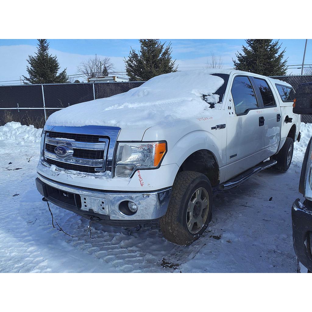 FORD F-150 2014