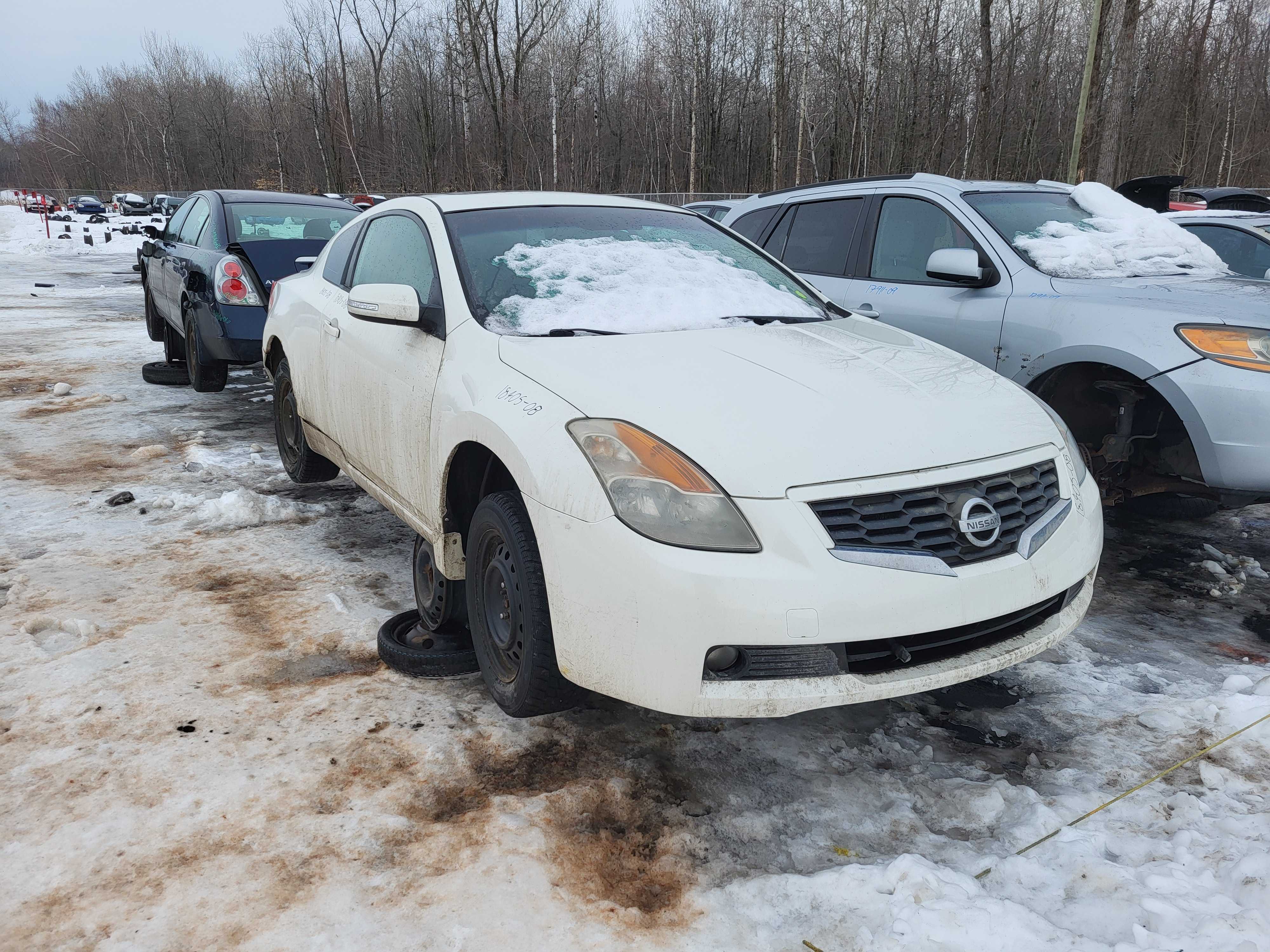 NISSAN ALTIMA 2008