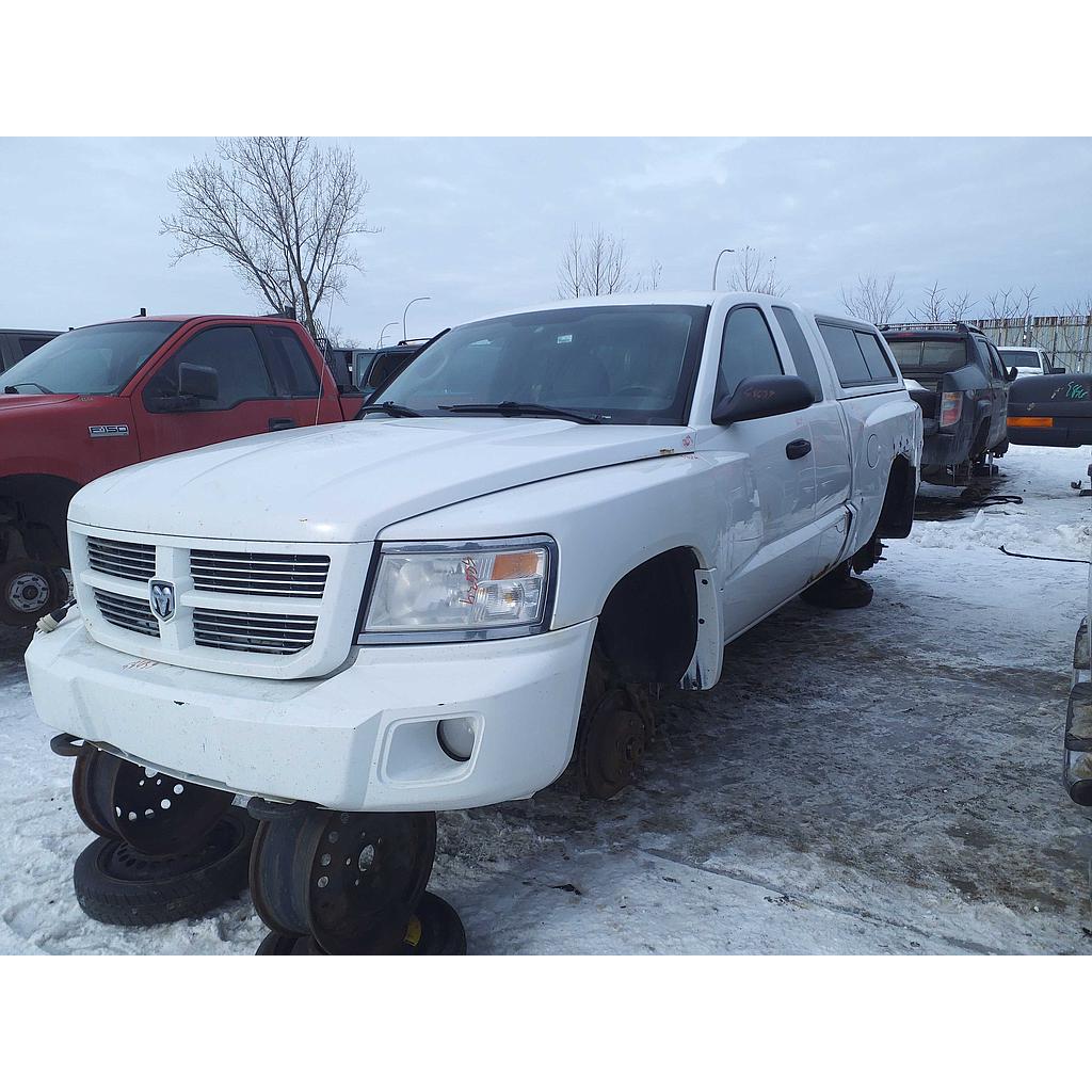 RAM DAKOTA 2011