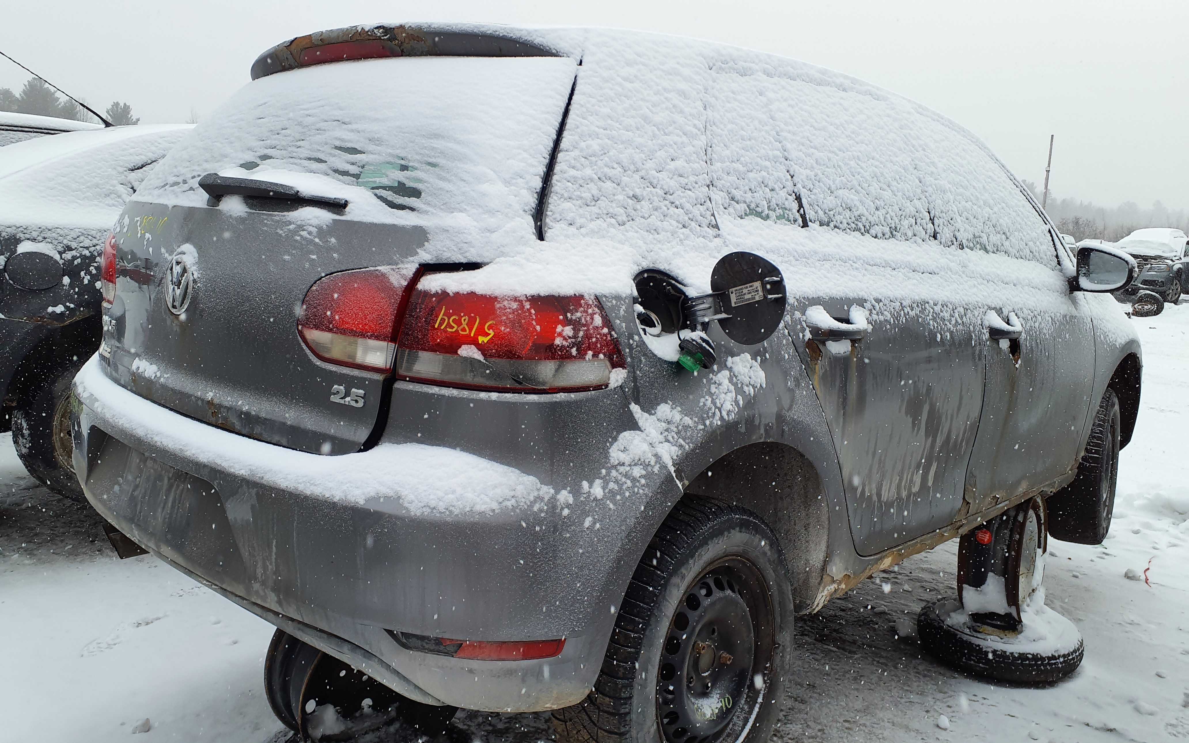 VOLKSWAGEN GOLF 2010