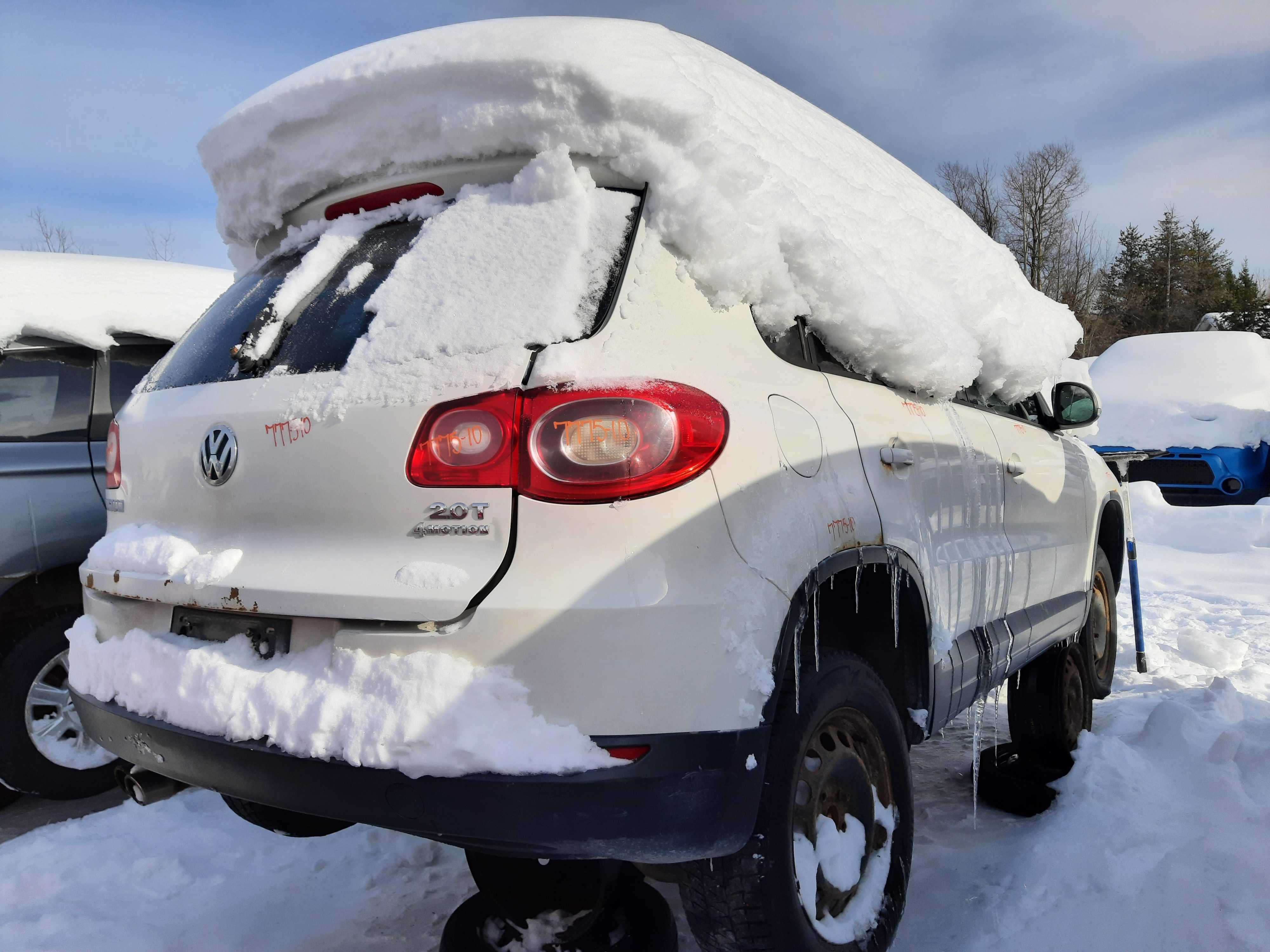 VOLKSWAGEN TIGUAN 2010