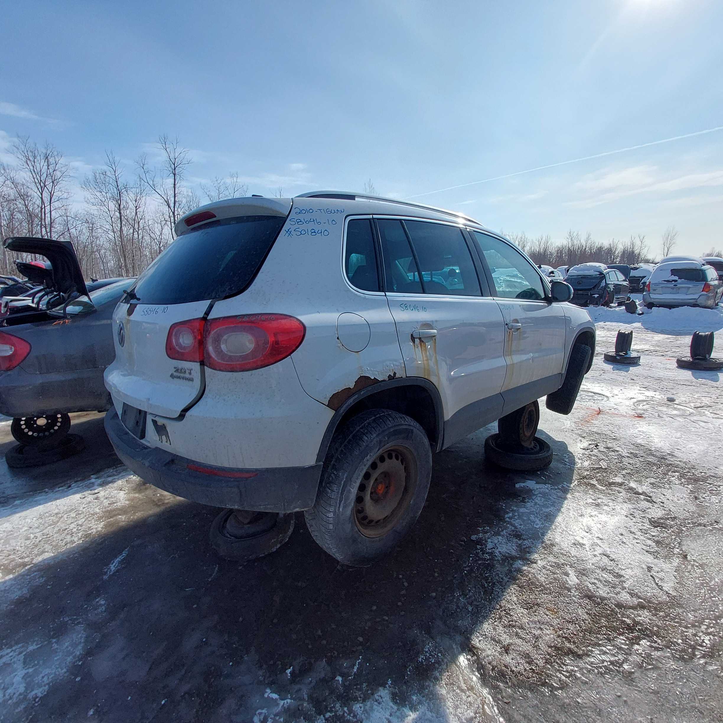 VOLKSWAGEN TIGUAN 2010