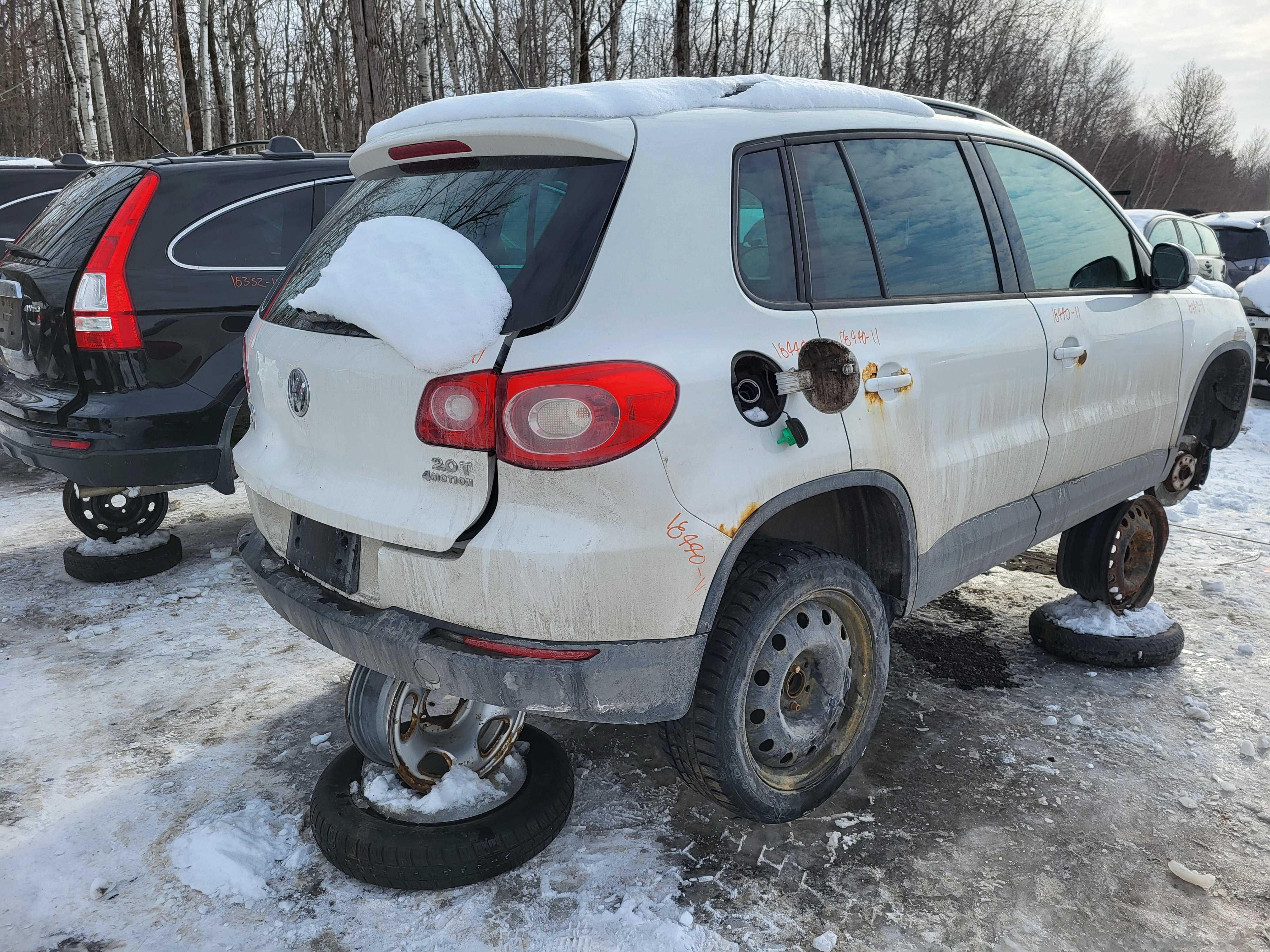 VOLKSWAGEN TIGUAN 2011