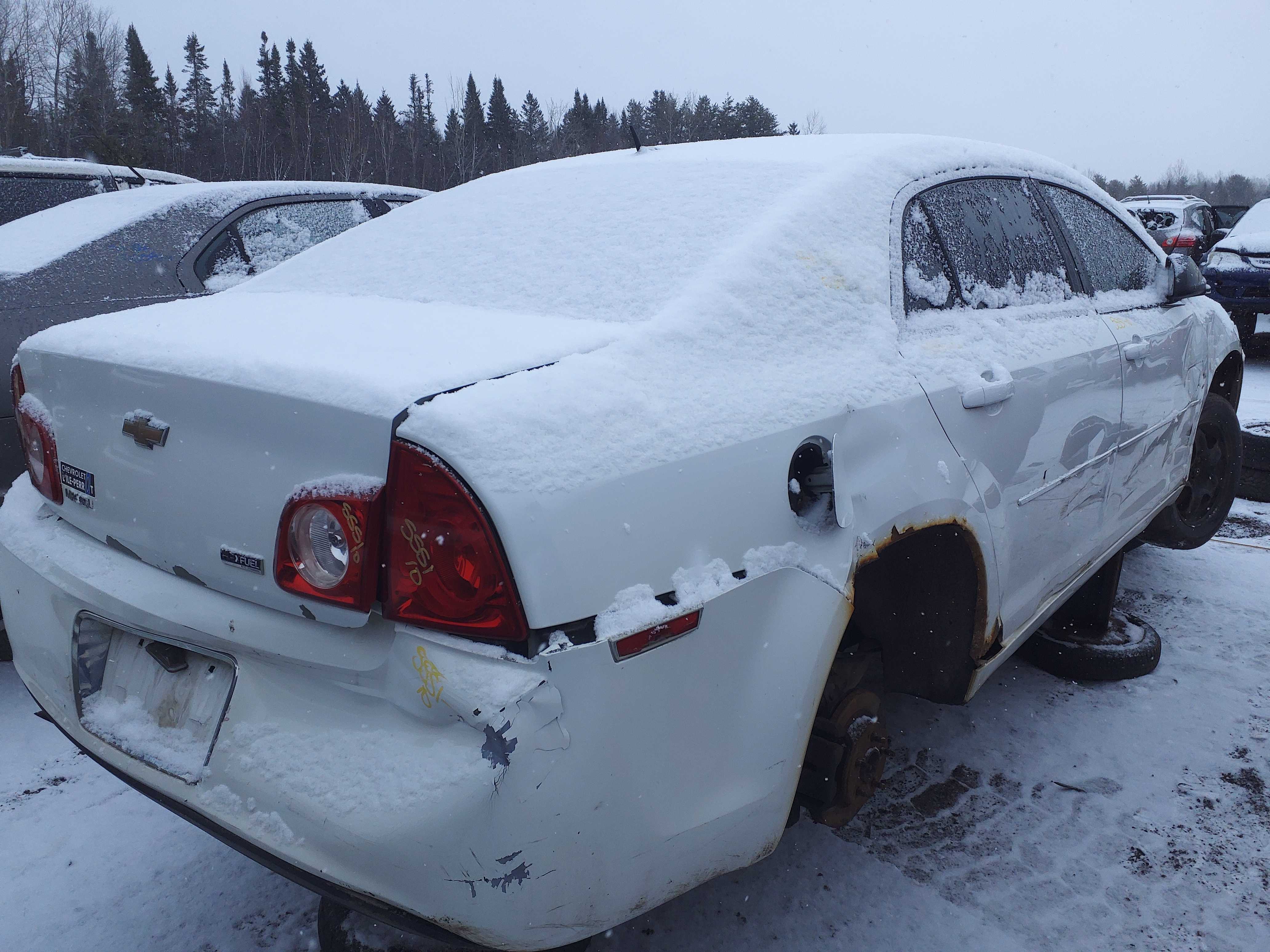 CHEVROLET MALIBU 2010