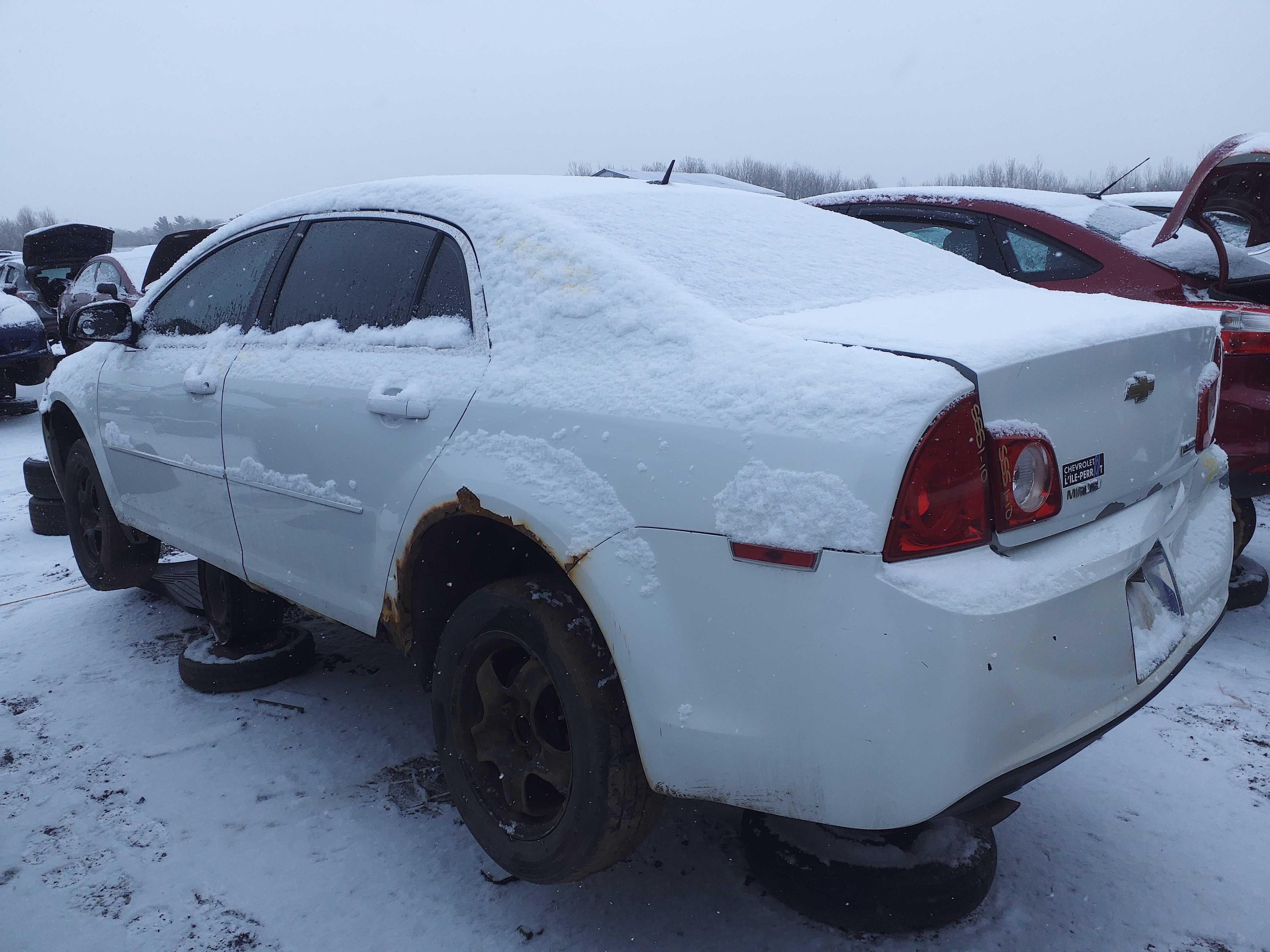 CHEVROLET MALIBU 2010