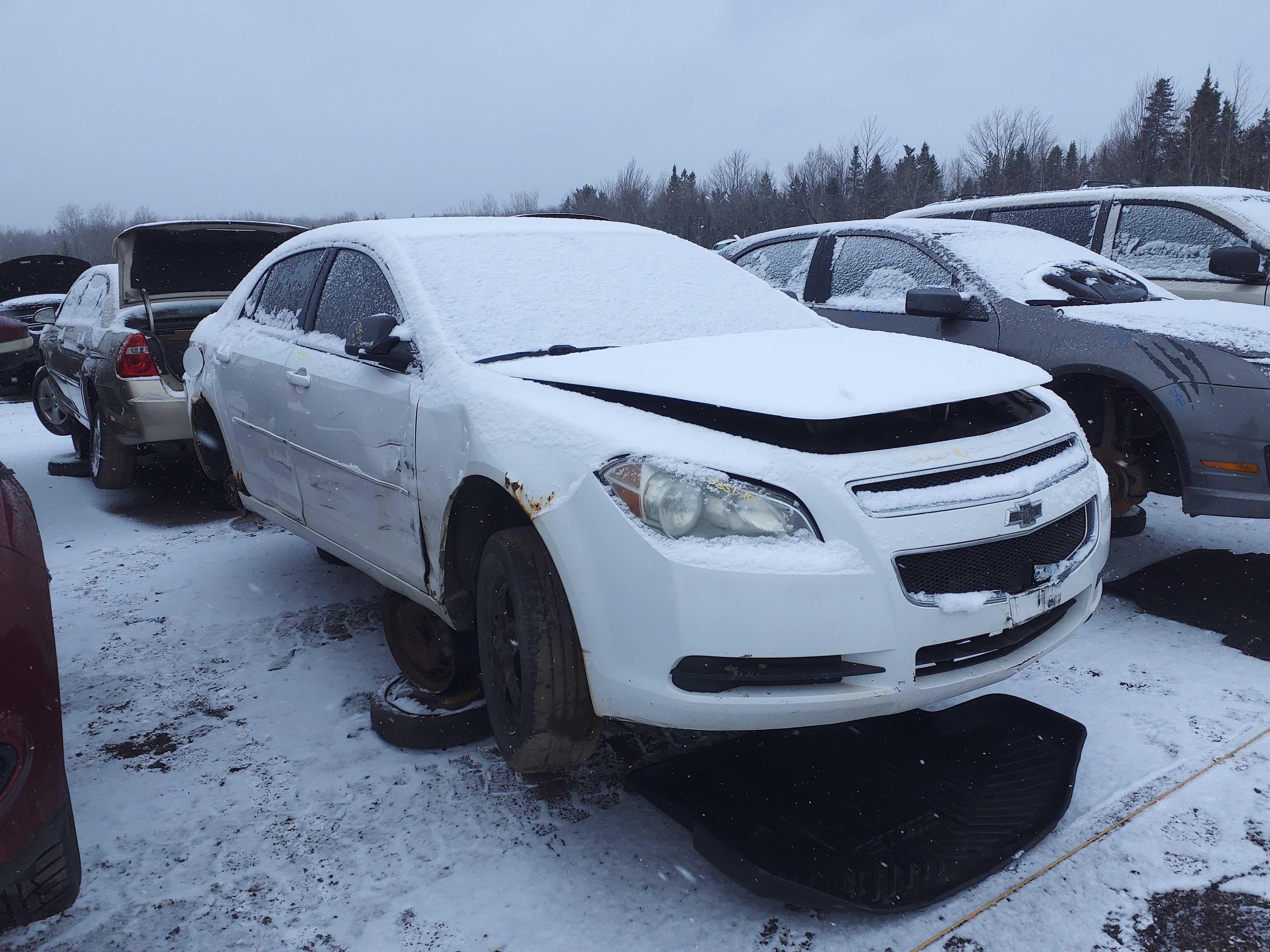 CHEVROLET MALIBU 2010