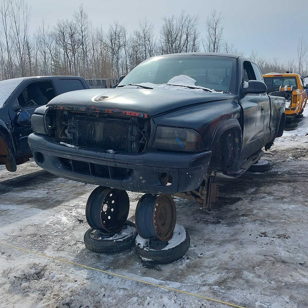 DODGE DAKOTA 2000
