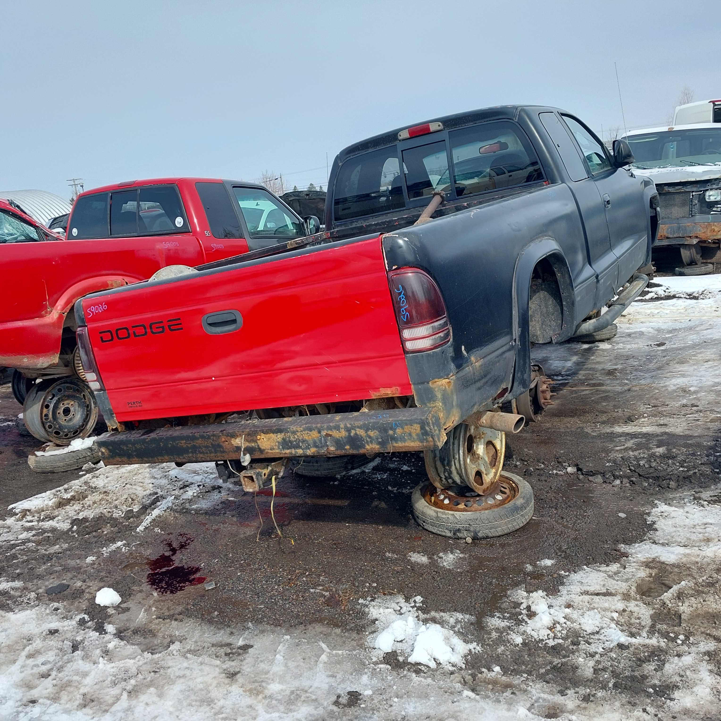 DODGE DAKOTA 2000
