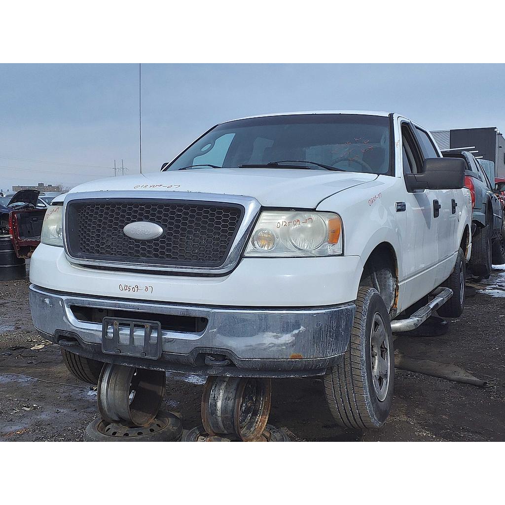 FORD F-150 2007