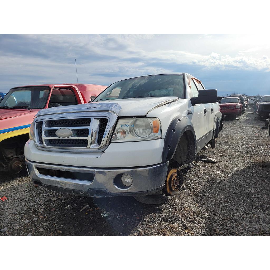 FORD F-150 2007