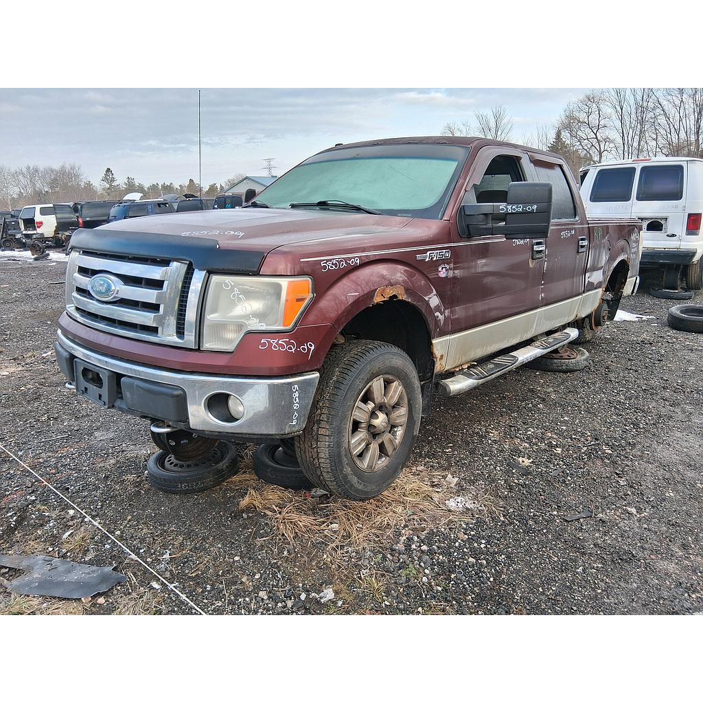 FORD F-150 2009