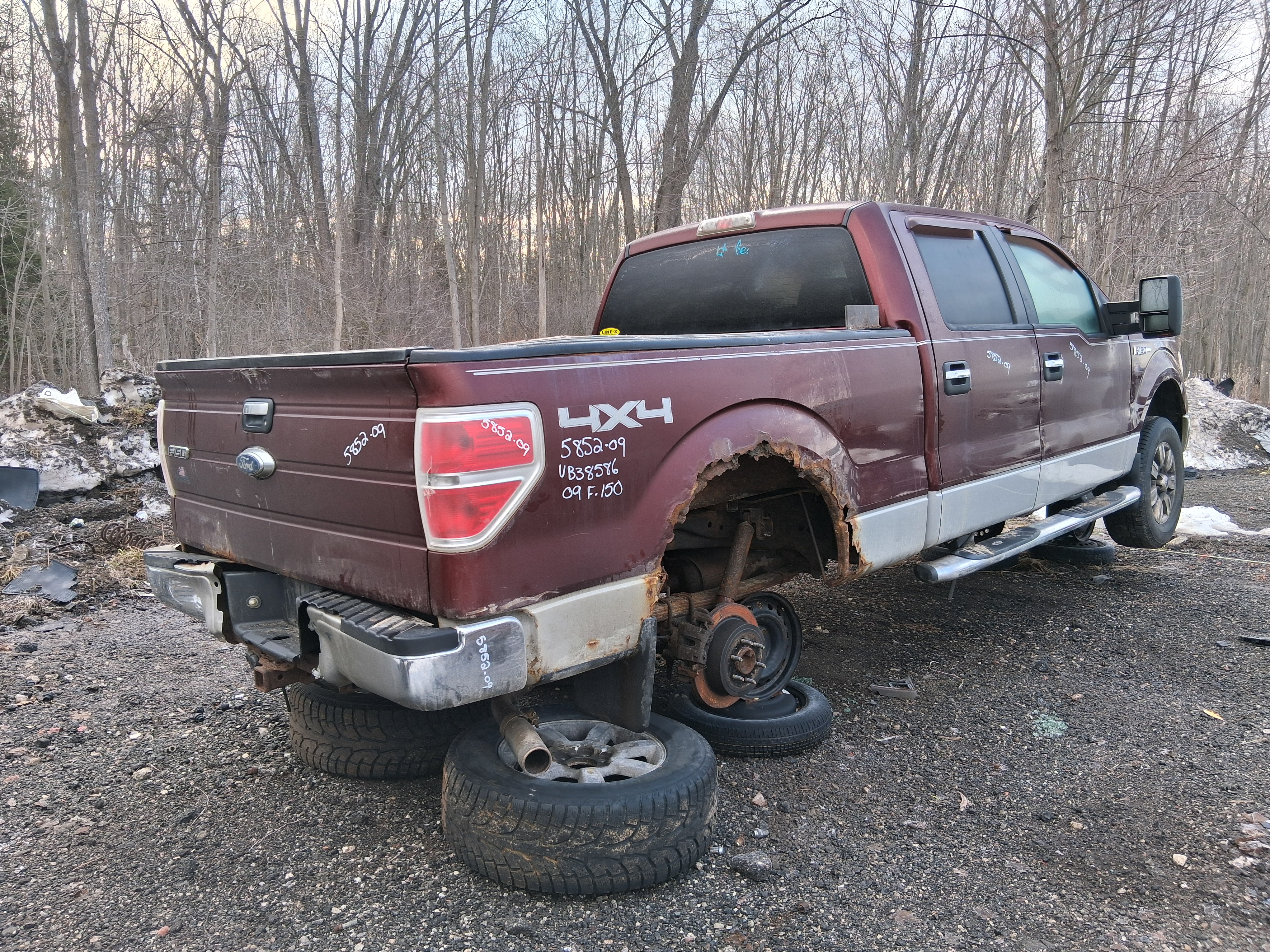FORD F-150 2009