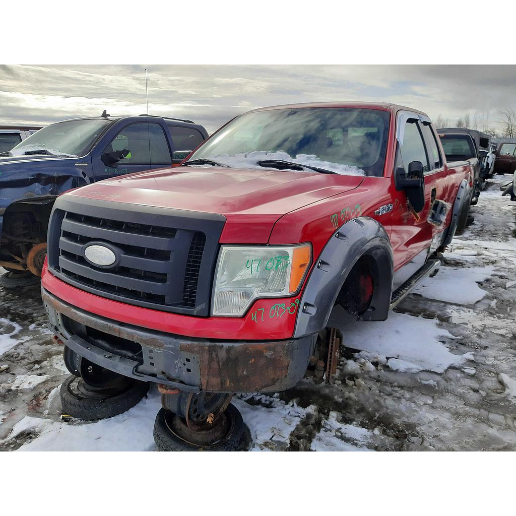 FORD F-150 2009