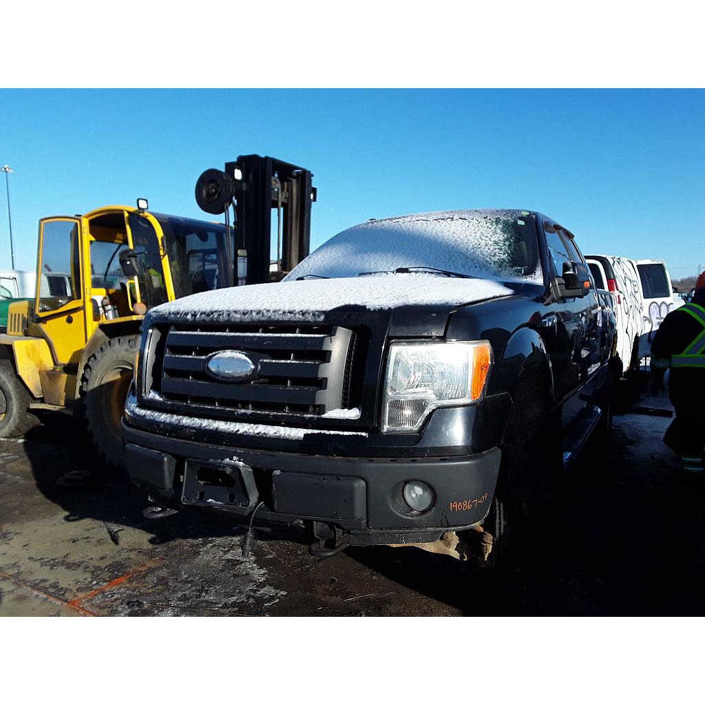 FORD F-150 2009