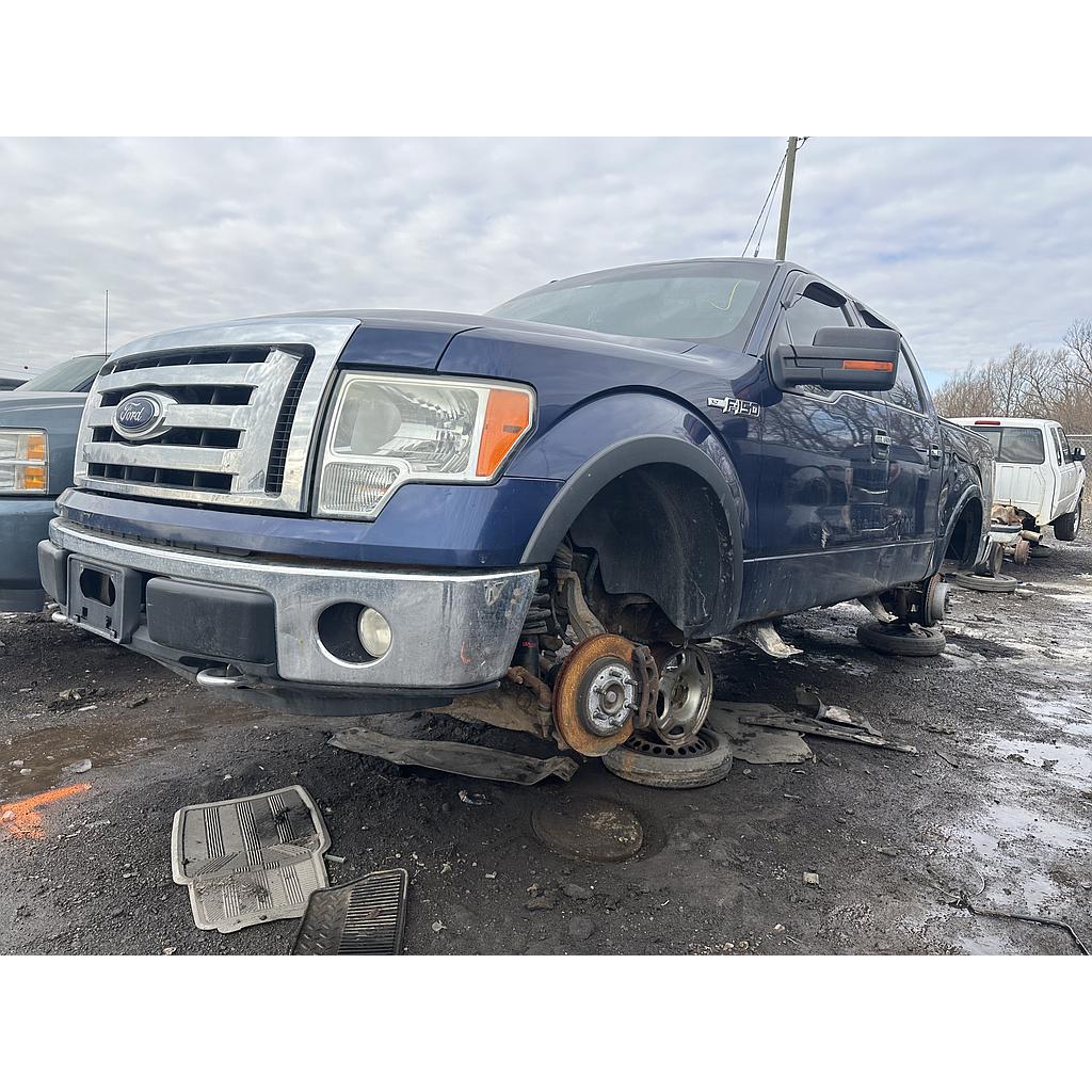 FORD F-150 2009