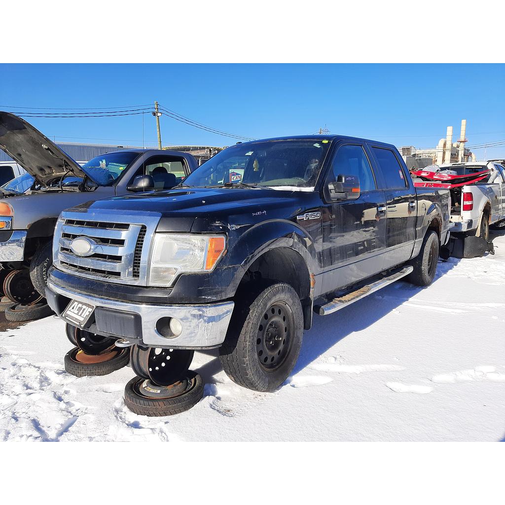FORD F-150 2009