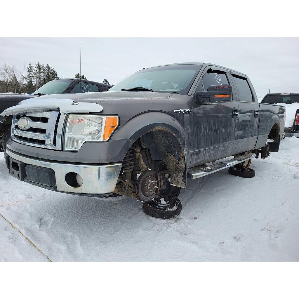 FORD F-150 2009
