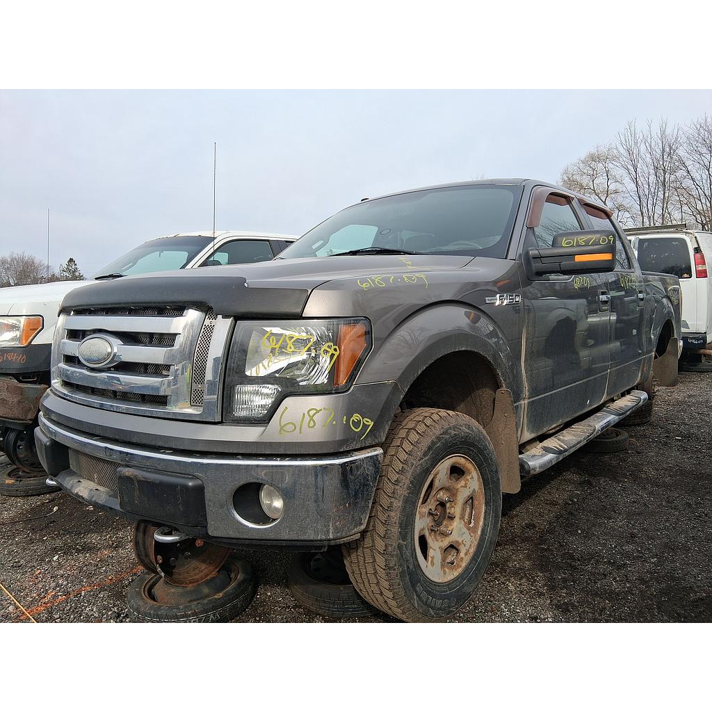 FORD F-150 2009