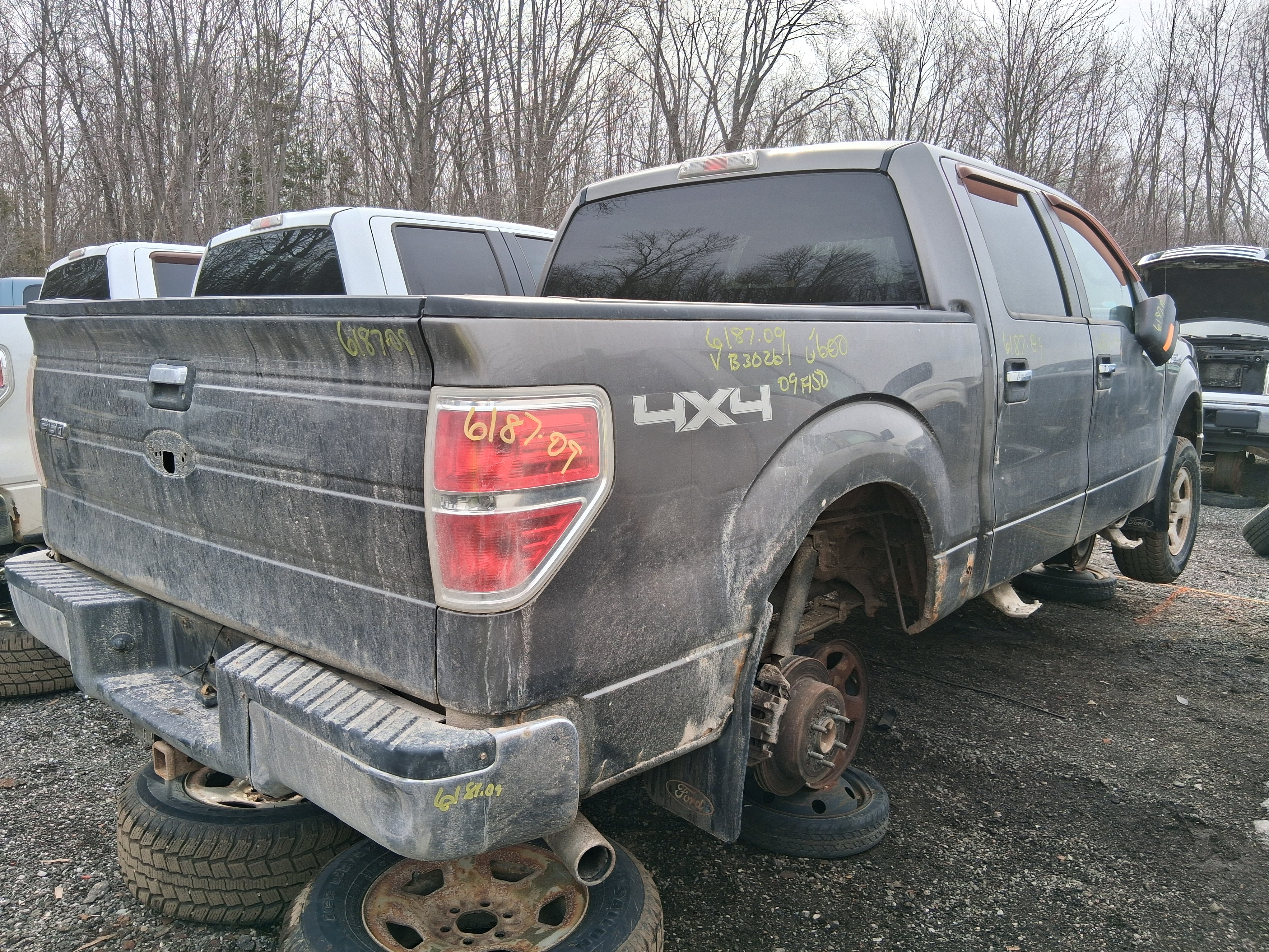 FORD F-150 2009