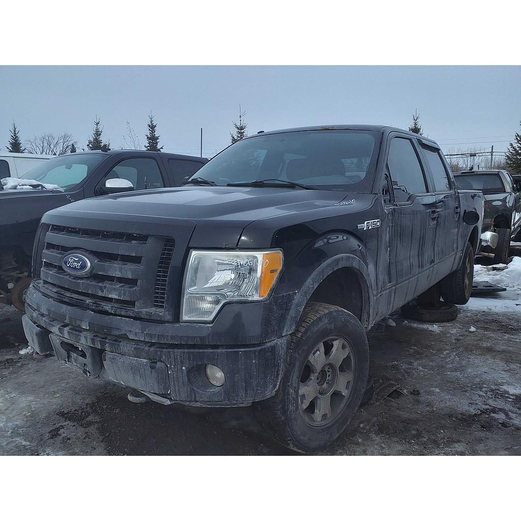 FORD F-150 2010